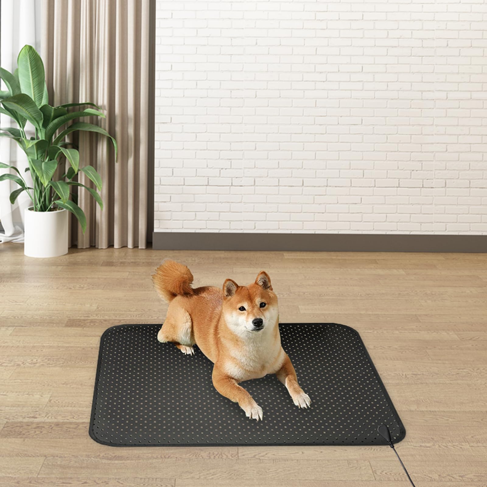 EOHELGRO Grounding Mat, Earth Grounding Mat for Sleeping, Earth Mat Grounding Pad for Energy EOHELGRO Au supplements