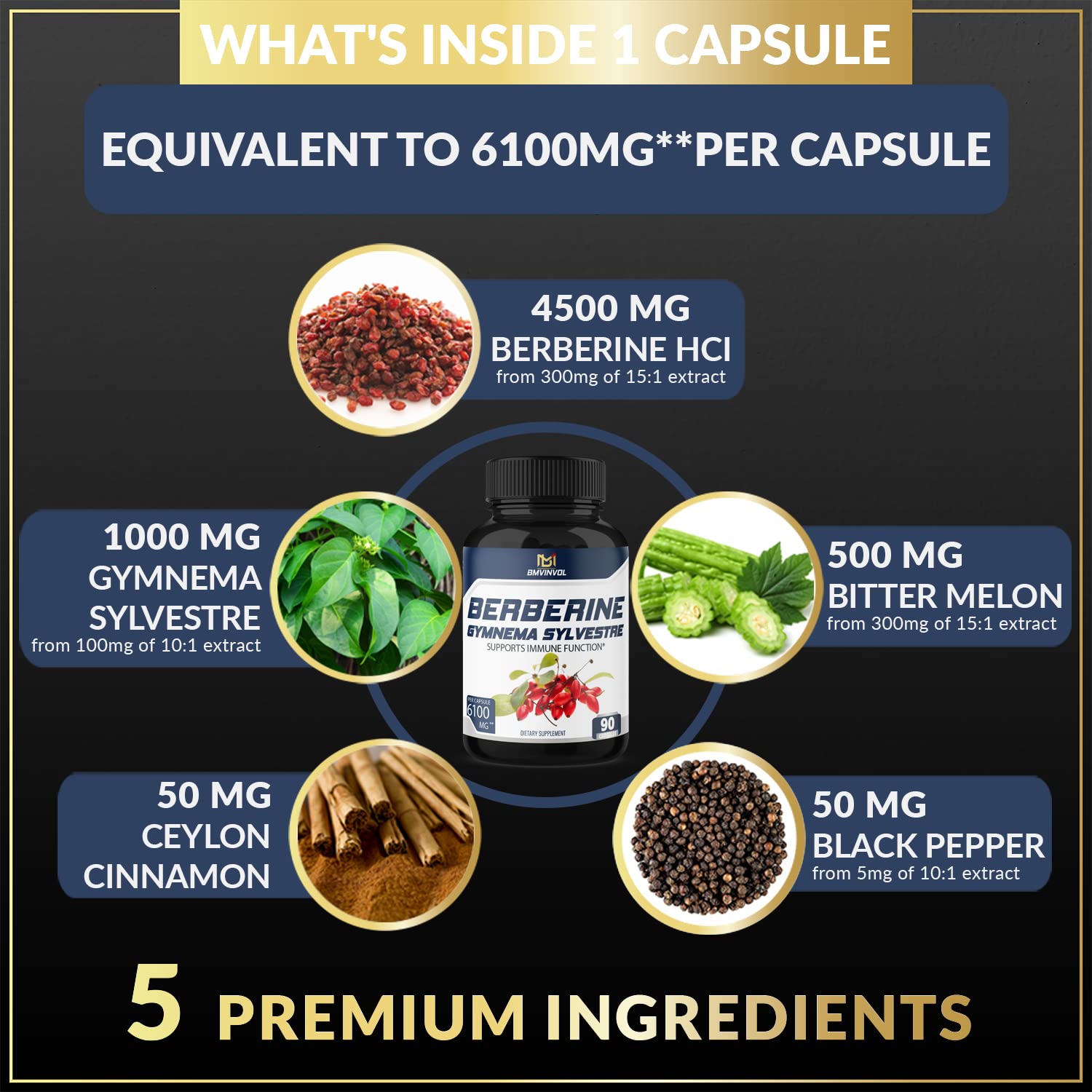 BMVINVOL 5-in-1 Berberine Supplement 6100mg with Ceylon Cinnamon, Gymnema BMVINVOL Au supplements