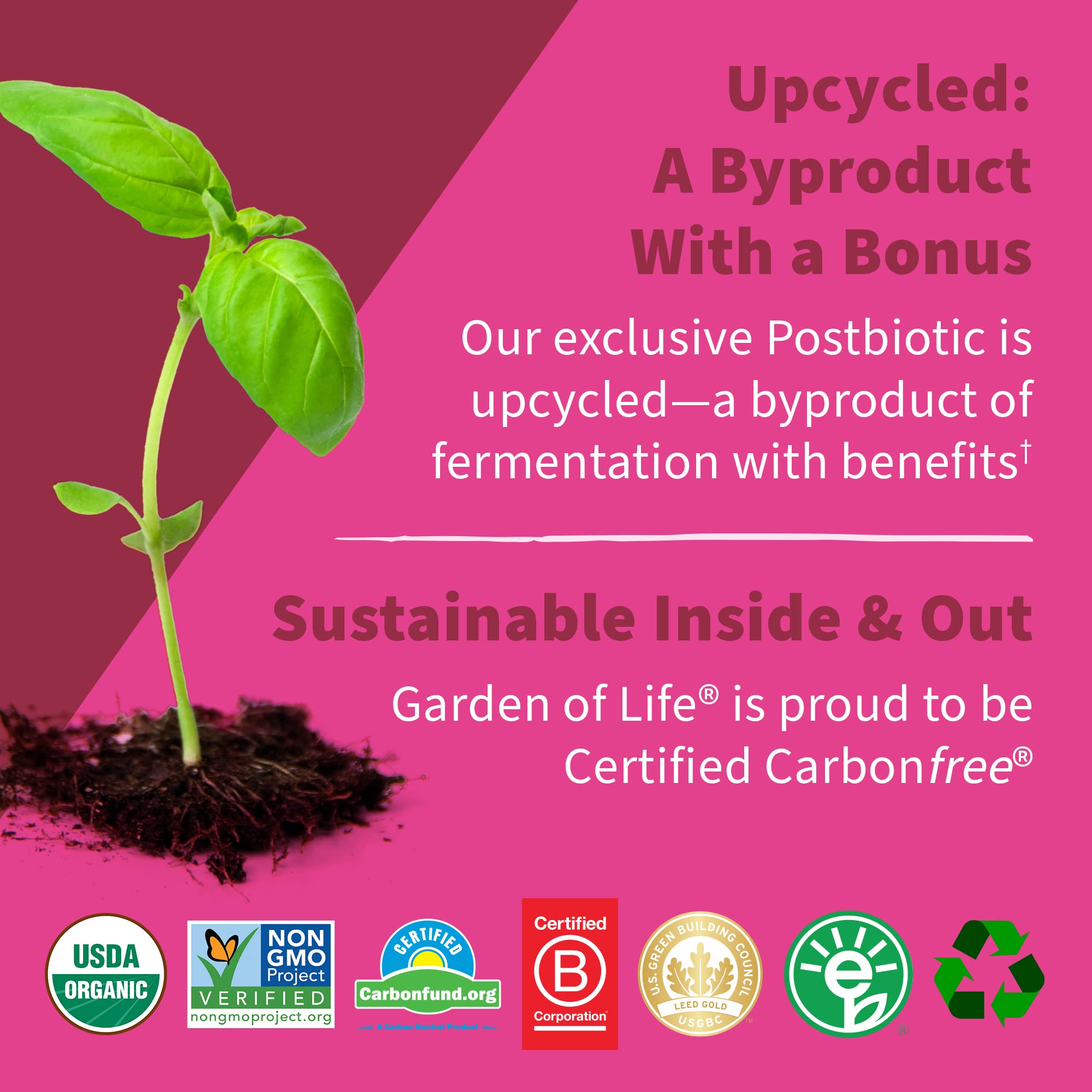 Garden of Life Dr Formulated Once Daily 3-in-1 Complete Prebiotics, Postbiotics Garden of Life Au supplements