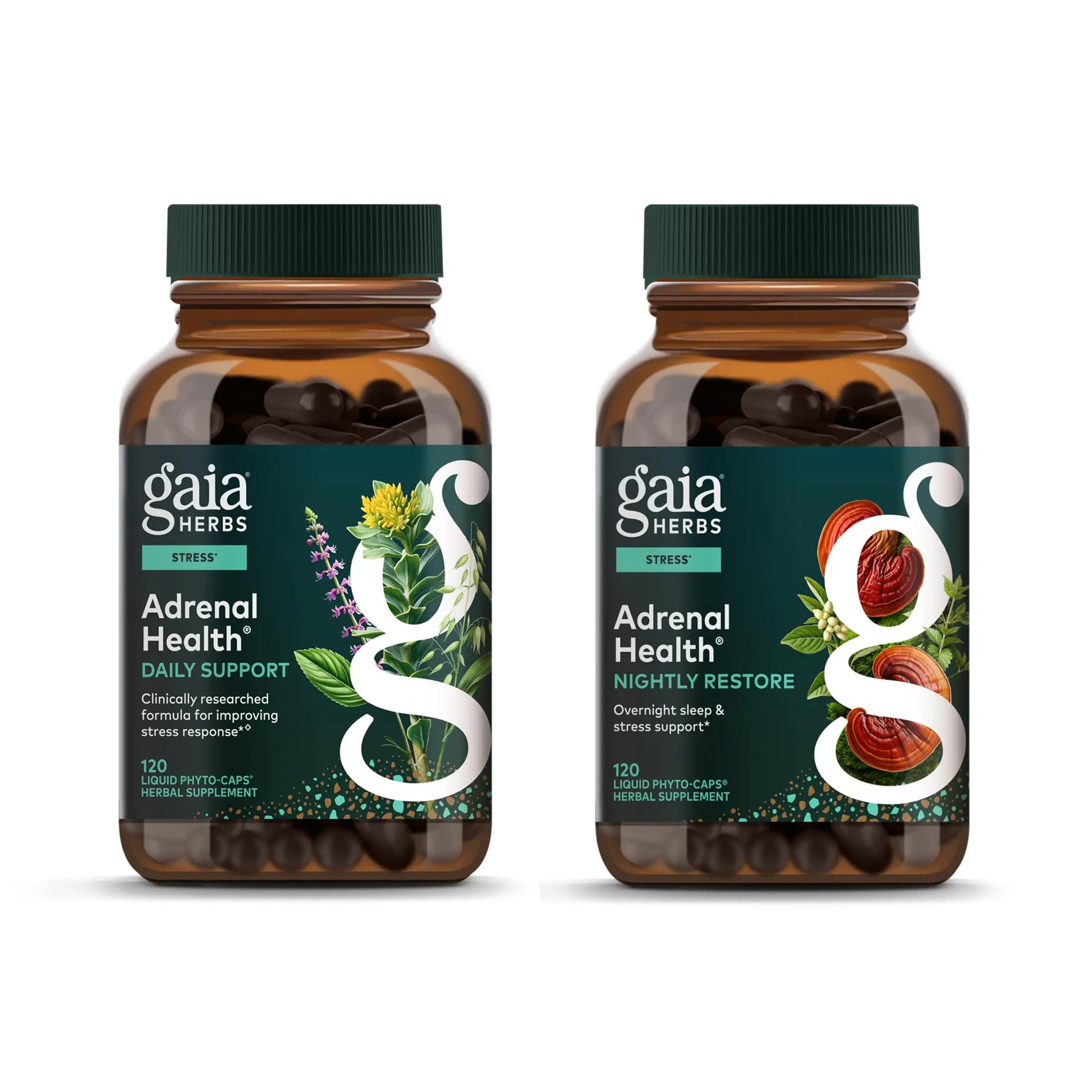 Gaia Herbs Adrenal Health Daily Support, Help Maintain Healthy Energy & Stress Levels*,120 Liquid Phyto-Caps Adrenal Health Nightly Restore, 120 Liquid Phyto-Caps - Bundle Gaia Herbs Au supplements
