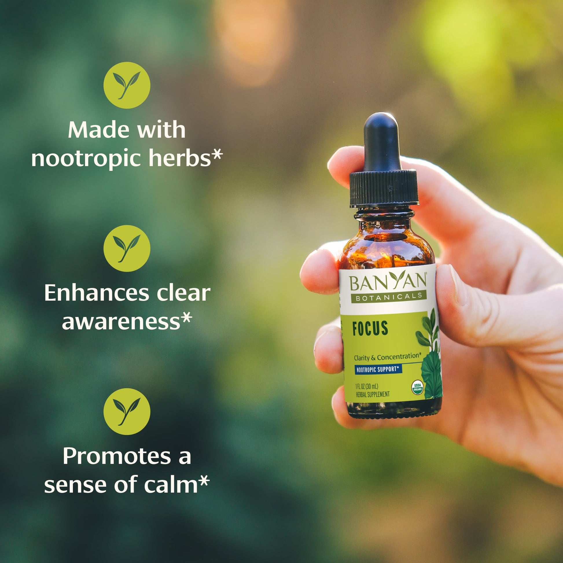 Banyan Botanicals Focus Liquid Extract – Organic Focus Supplement – Liquid Extract in Non-Alcoholic Glycerin – Nootropic Herbs for Fast-Acting Support* – 1 oz. – Non-GMO Sustainably Sourced Vegan Banyan Botanicals Au supplements