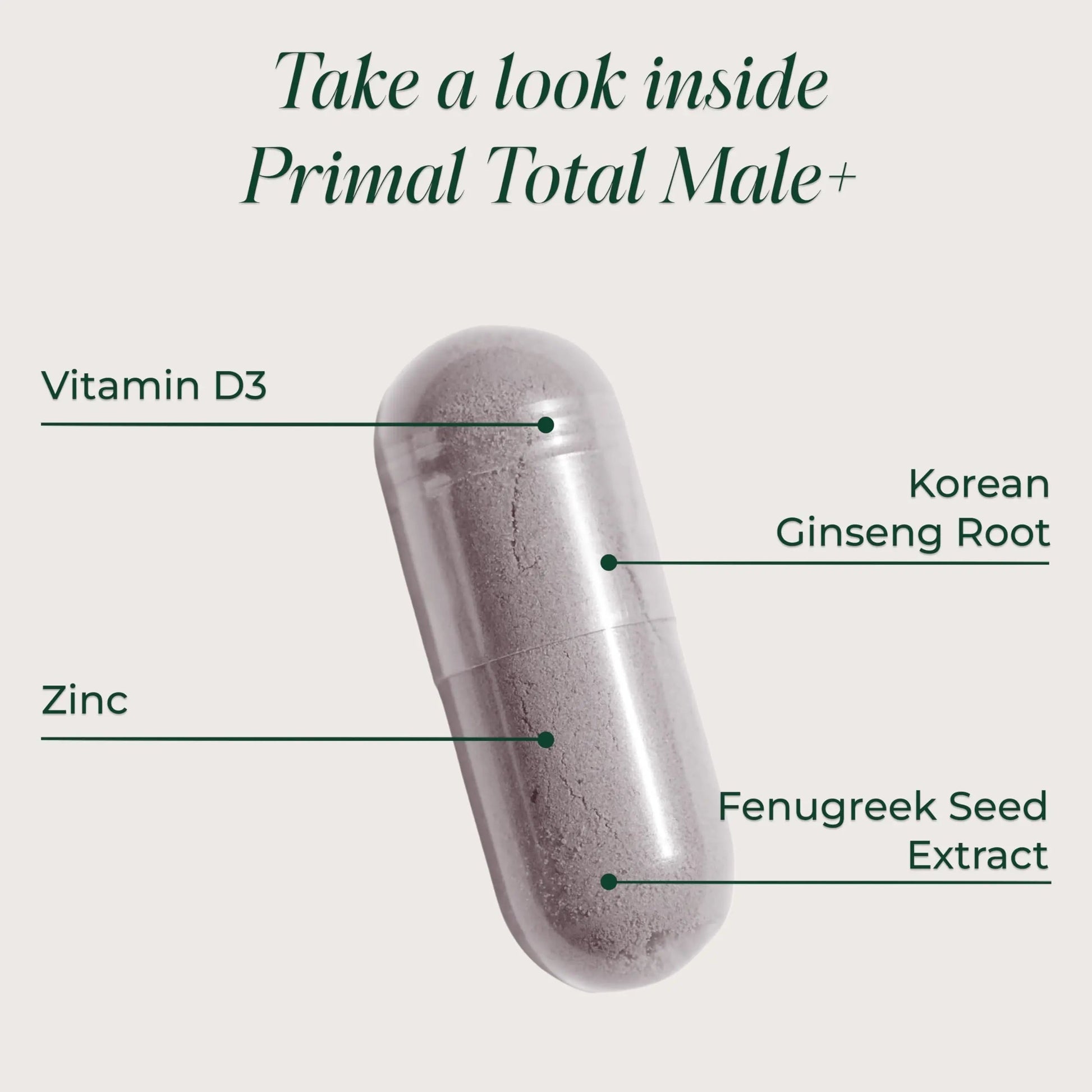 Primal Harvest Total Male+ Multivitamin for Men Vitamins, Minerals and Herbal Support for Energy, Vitality, Immune Health Primal Harvest Au supplements