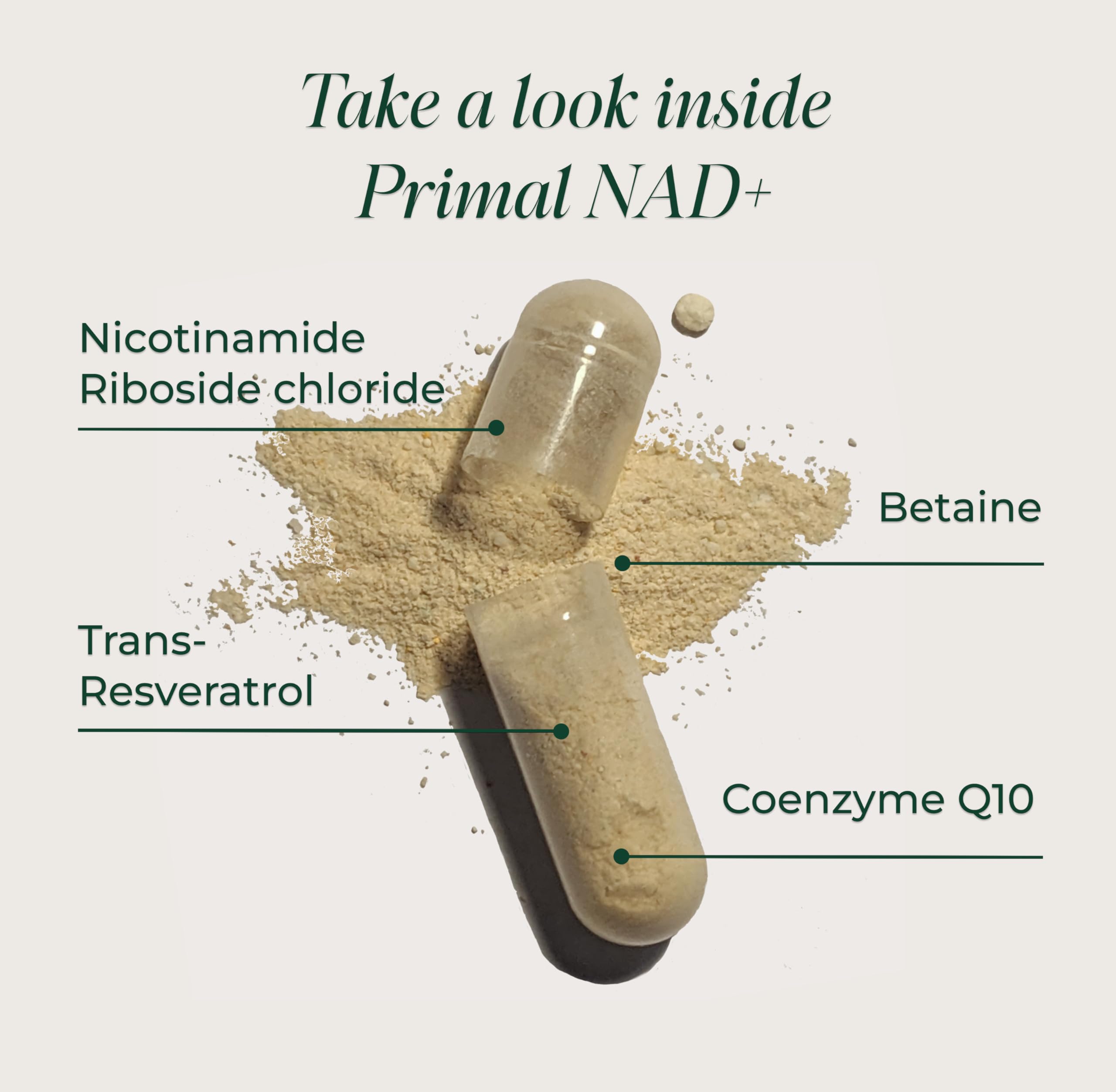 Primal Harvest NAD+ Supplement: Nicotinamide Riboside, Trans-Resveratrol, Betaine, CoQ10, NAD Supplements for Cellular Health, Energy, and Mitochondrial Support Primal Harvest Au supplements