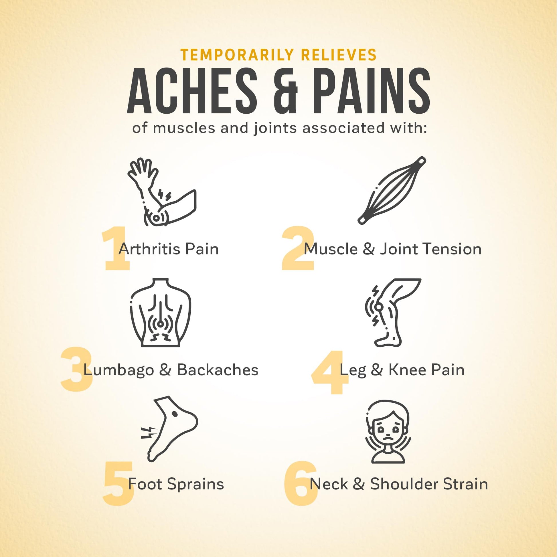 Kalaya Naturals Extra Strength Pain Relief Foam with Arnica - Supports Pain Relief in Muscle & Joints (2.7 Ounces) Kalaya Naturals Au supplements