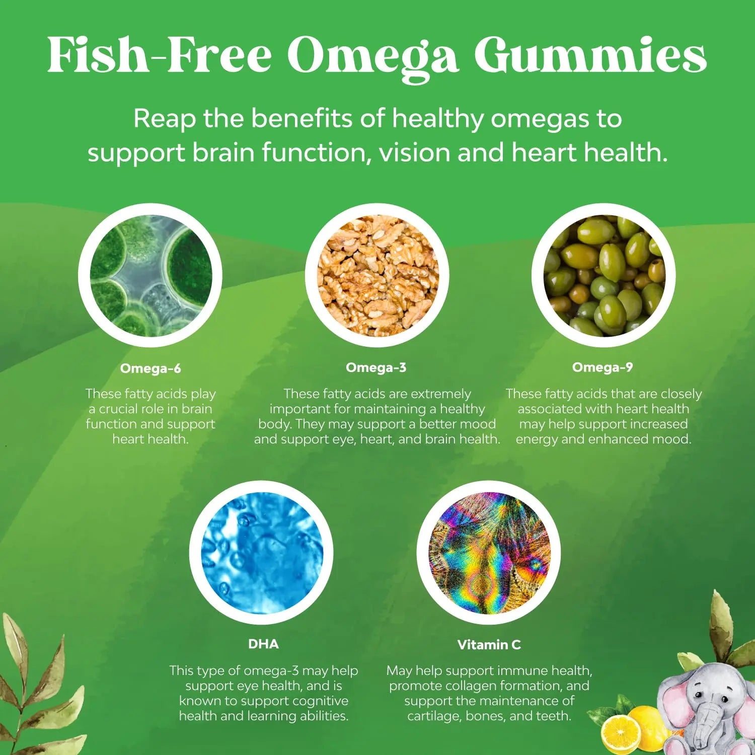 Bundle of Kids DHA Omega 3 Gummies - Fatty Acids Omega 3 6 9 for Brain Immune Strength Vision Focus Support and Liquid Multivitamin for Kids Immunity Support Natures Craft Au supplements