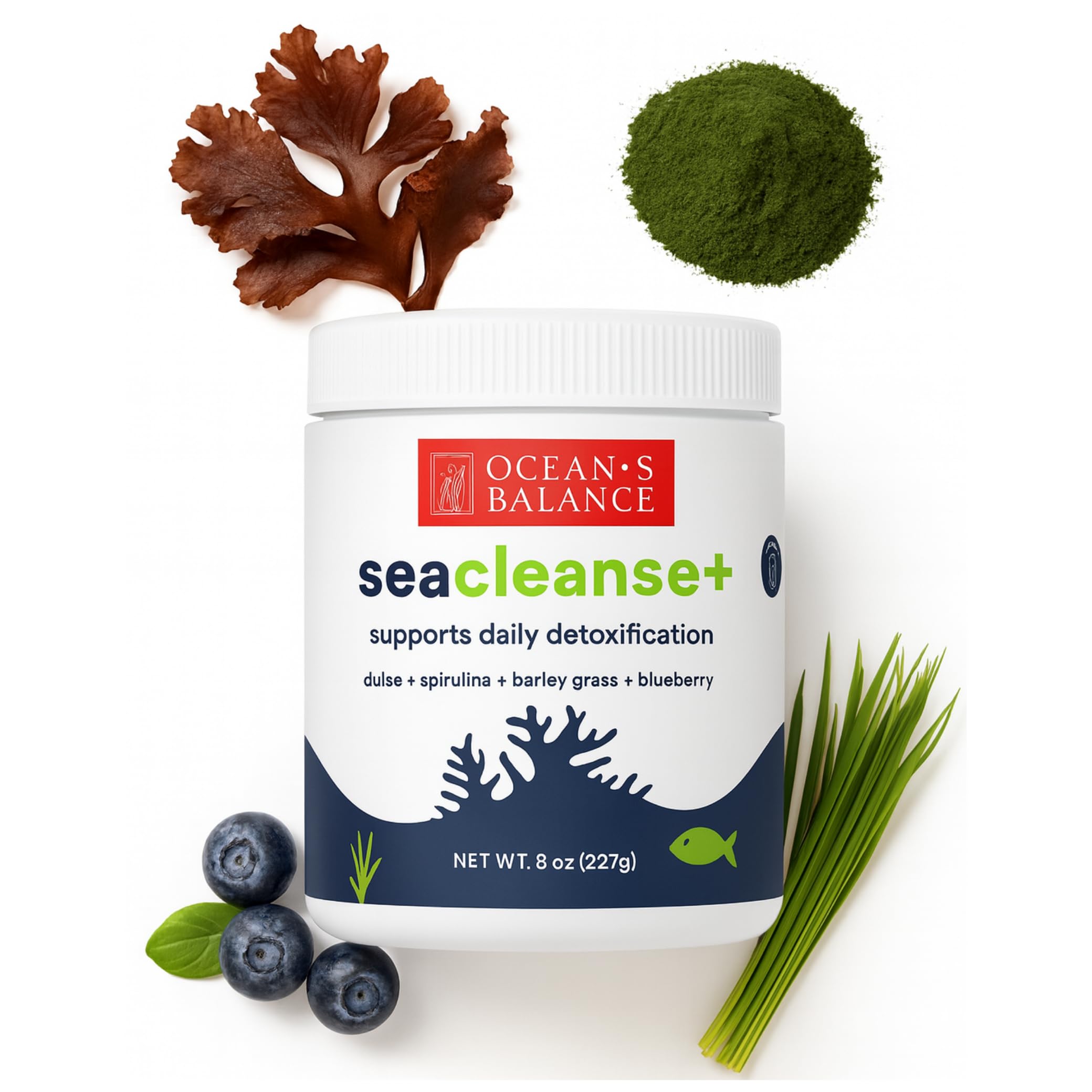 Ocean's Balance Seacleanse+ Daily Detox Cleanse Powder | Gut Health & Immune Support | Supports Gentle Cleanse & Vitality | 8oz Ocean's Balance Clean Taste of Maine Au supplements
