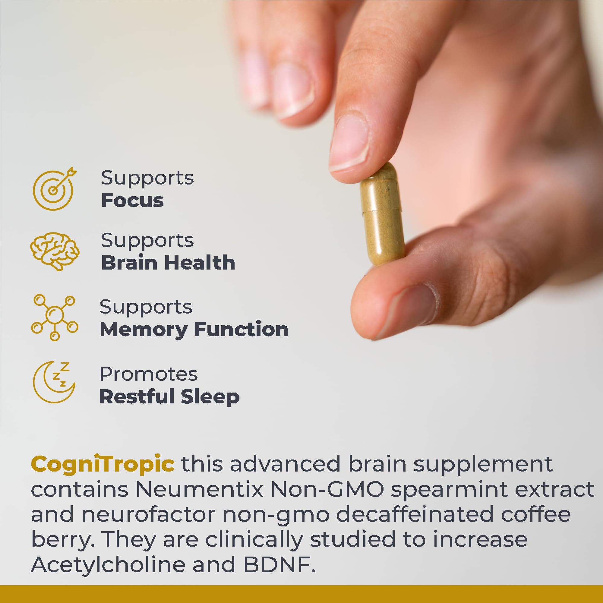Premier Research Labs Cognitropic - Brain Supplements for Memory and Focus, Focus Supplement, Brain and Memory Power Boost, Clarity Vitamins for Brain, Memory Support - 120 Vegetarian Capsules Premier Research Labs Au supplements