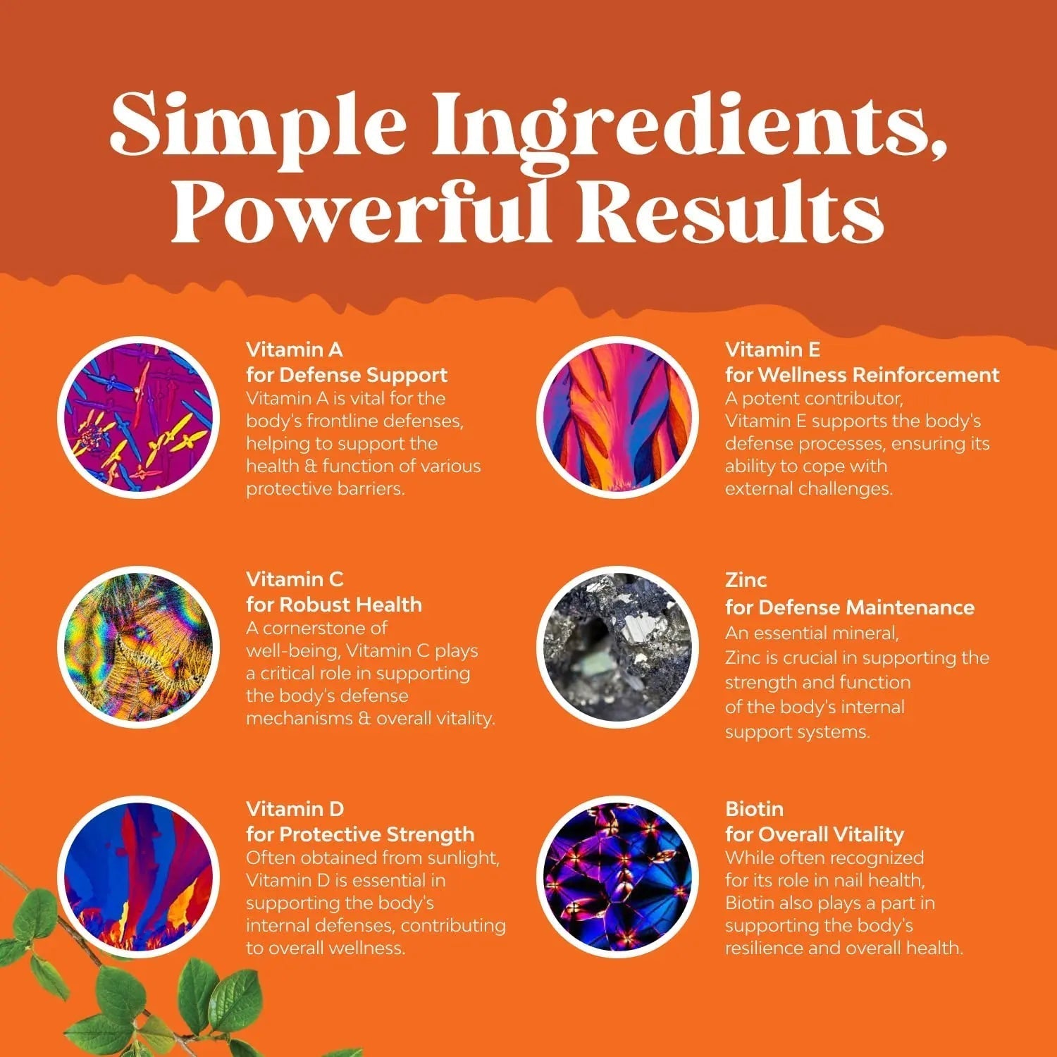 Bundle of Potent Daily Multivitamin Gummies - Wellness Blend of Vitamin D A C E B12 Zinc & Biotin for Energy & Immunity and Vitamin D3 Gummies Natures Craft Au supplements