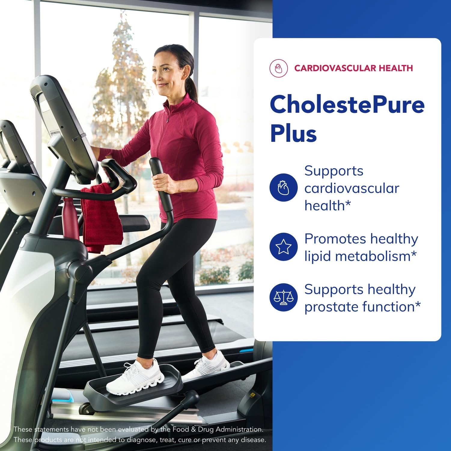 Pure Encapsulations CholestePure Plus 120's - Supports Lipid Metabolism & Heart Health* - Berberine Supplement - with Citrus Bergamot - Gluten Free & Non-GMO - 120 Capsules Pure Encapsulations Au supplements