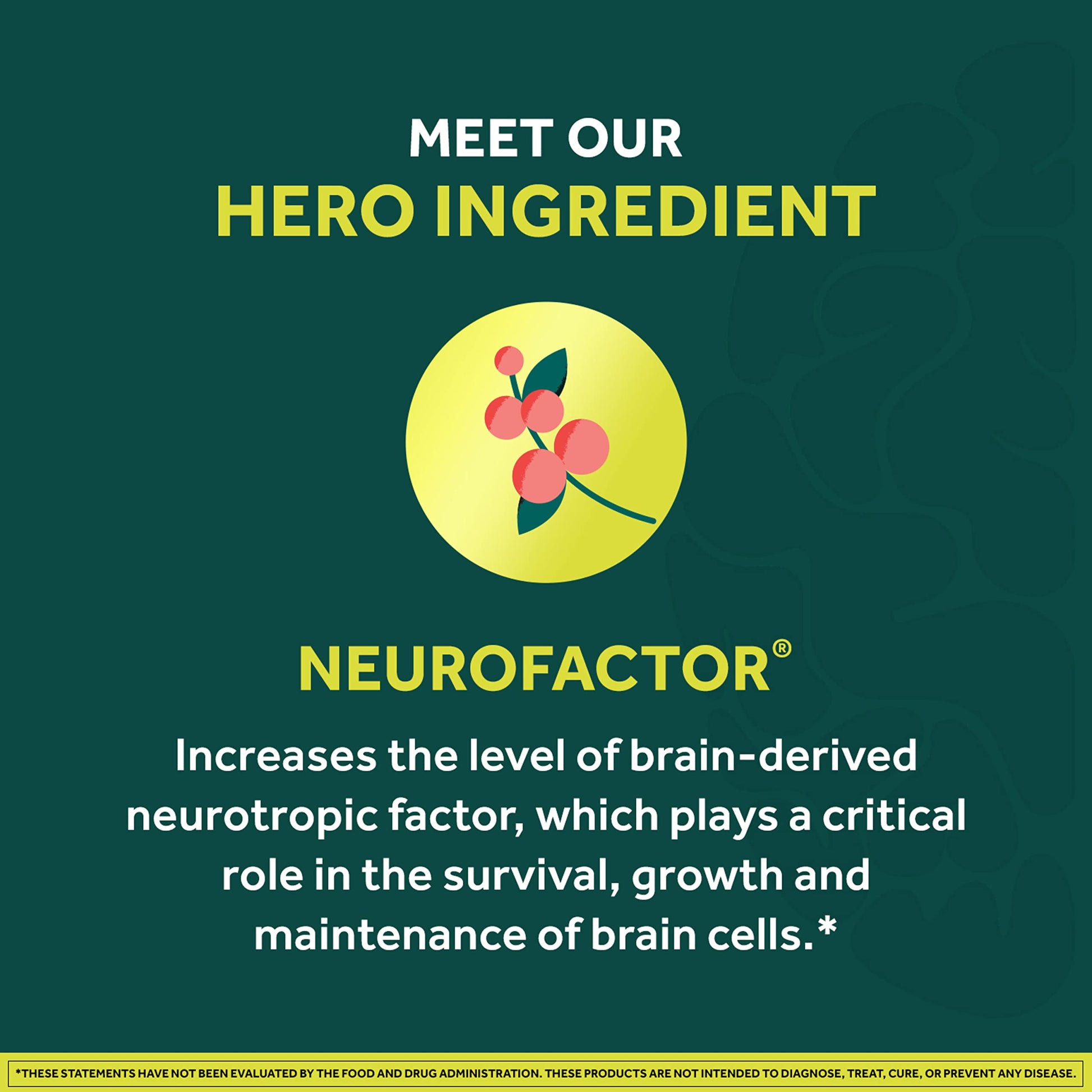 NEURIVA Brain + Energy Gummies, Nootropic Brain Supplements for Focus and Concentration with Neurofactor, Vitamin B12 & Caffeine for an Energy Boost*, 75ct Natural BlackBerry NEURIVA Au supplements
