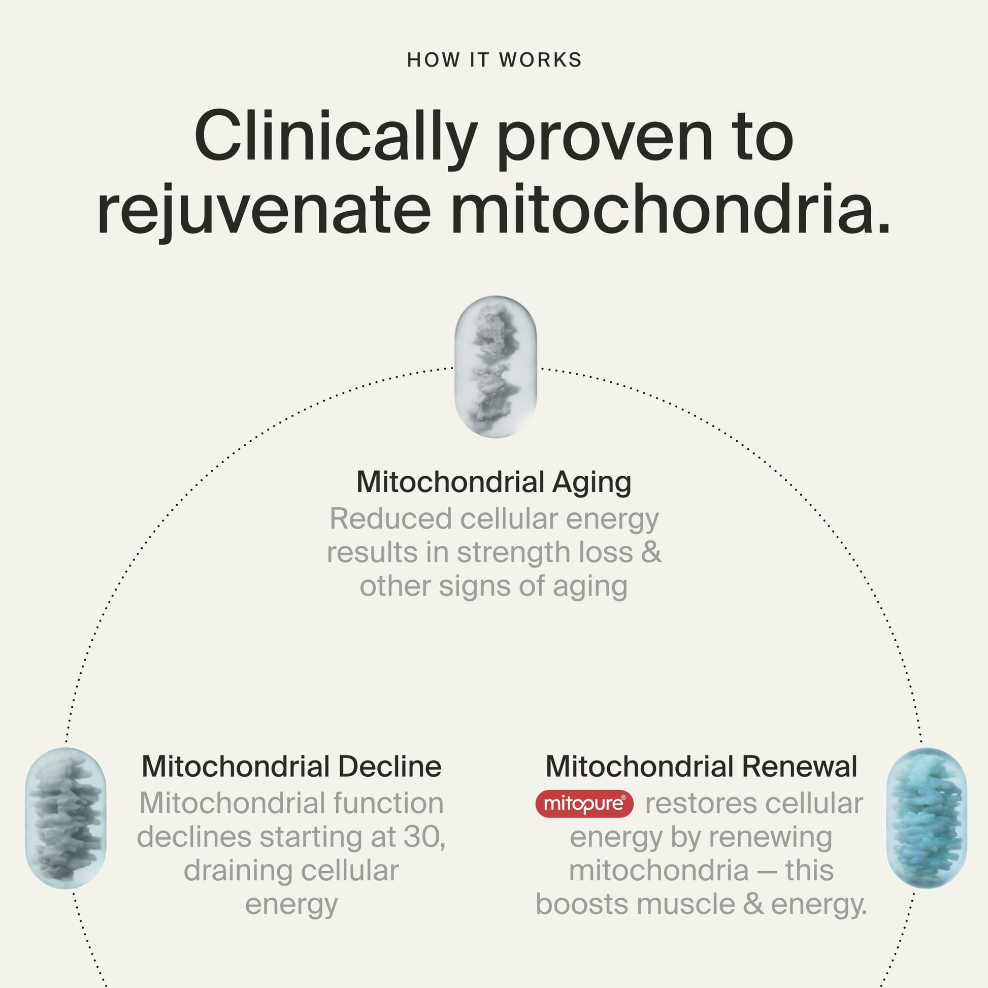 Timeline Mitopure Urolithin A Supplement Softgels - Clinically Proven Support for Healthy Aging and Cellular Renewal - Mitoceutical for Muscle Support and Longevity Timeline Au supplements