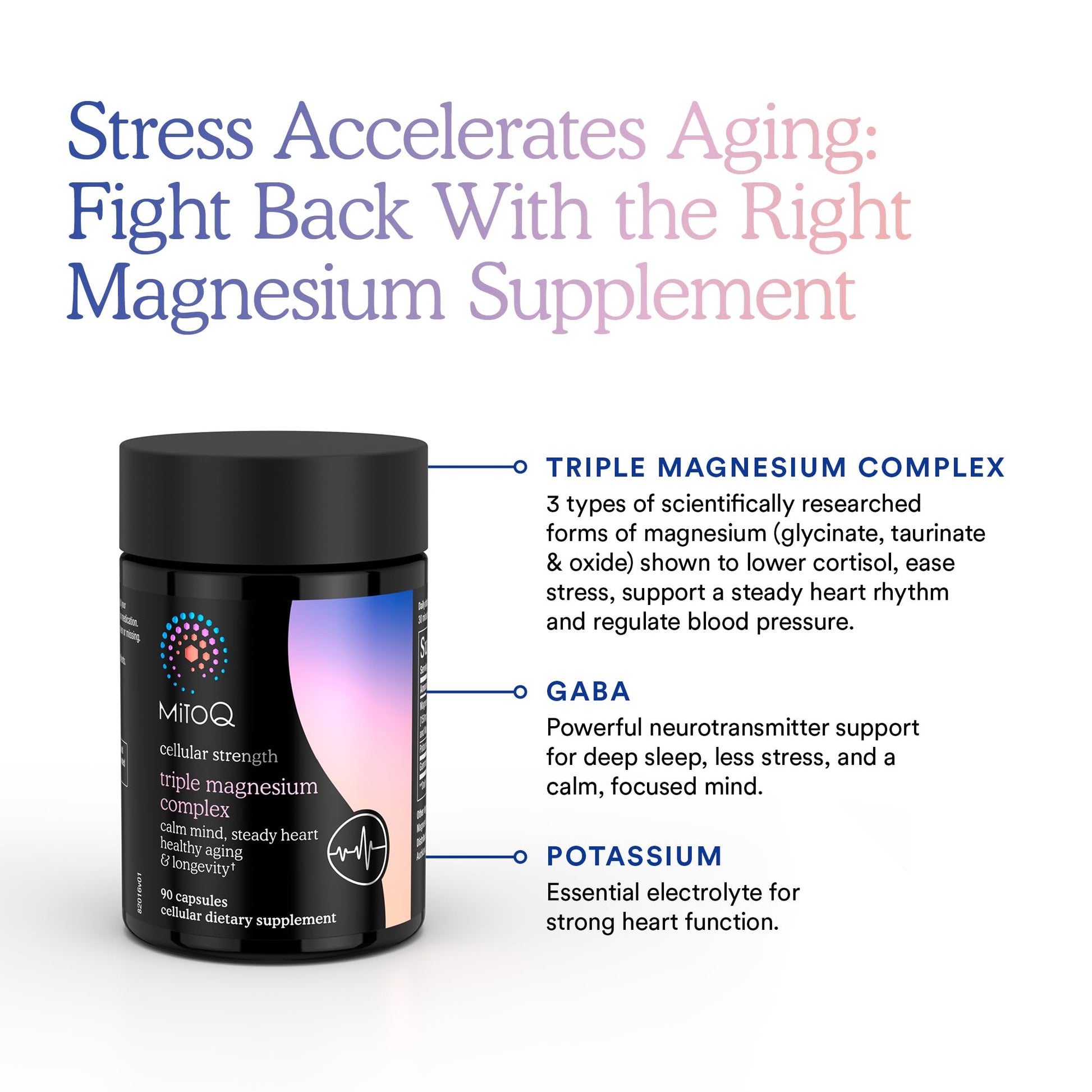MitoQ Triple Magnesium Complex | Magnesium Glycinate, Taurinate, Oxide with GABA for Heart Health, Stress Management, & Deeper Sleep | High Absorption | 90 Capsules MitoQ Au supplements