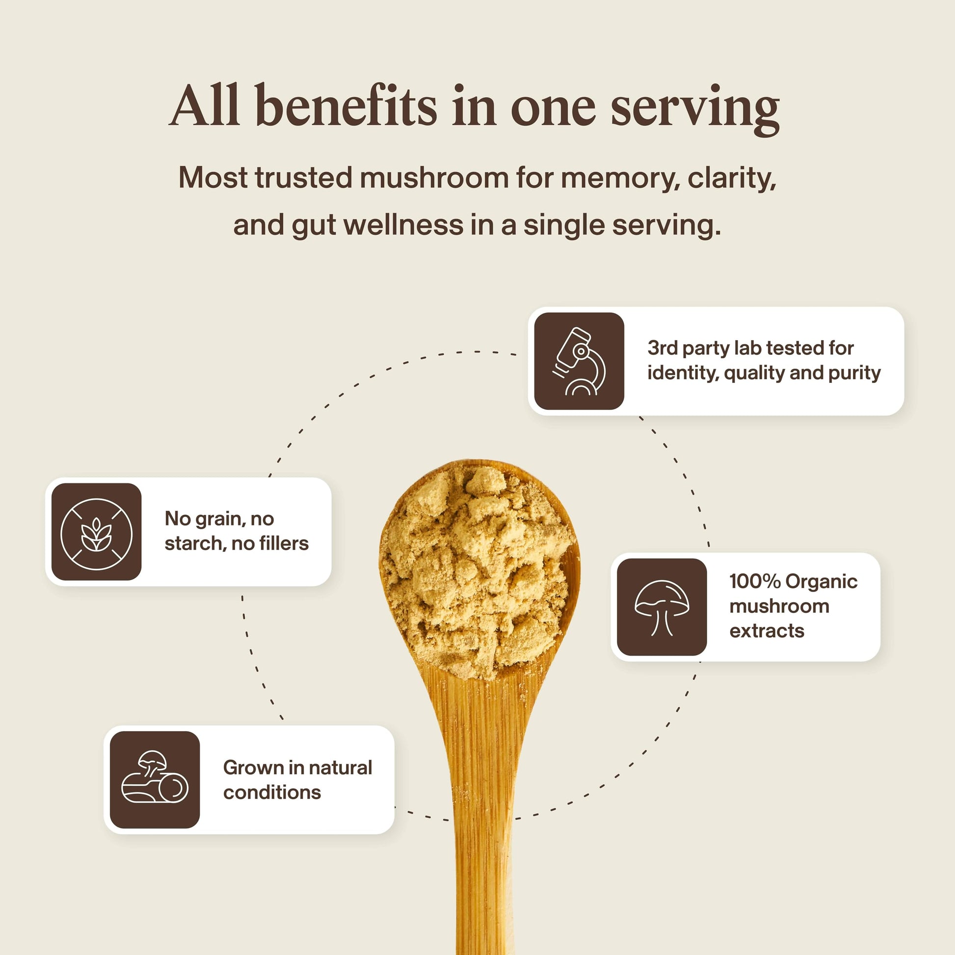Real Mushrooms Lions Mane Mushroom Cognition (120 Capsules) Lions Mane Mushroom Powder Extract Capsules | Brain Supplement, Brain Vitamins, Focus Supplement Real Mushrooms Au supplements