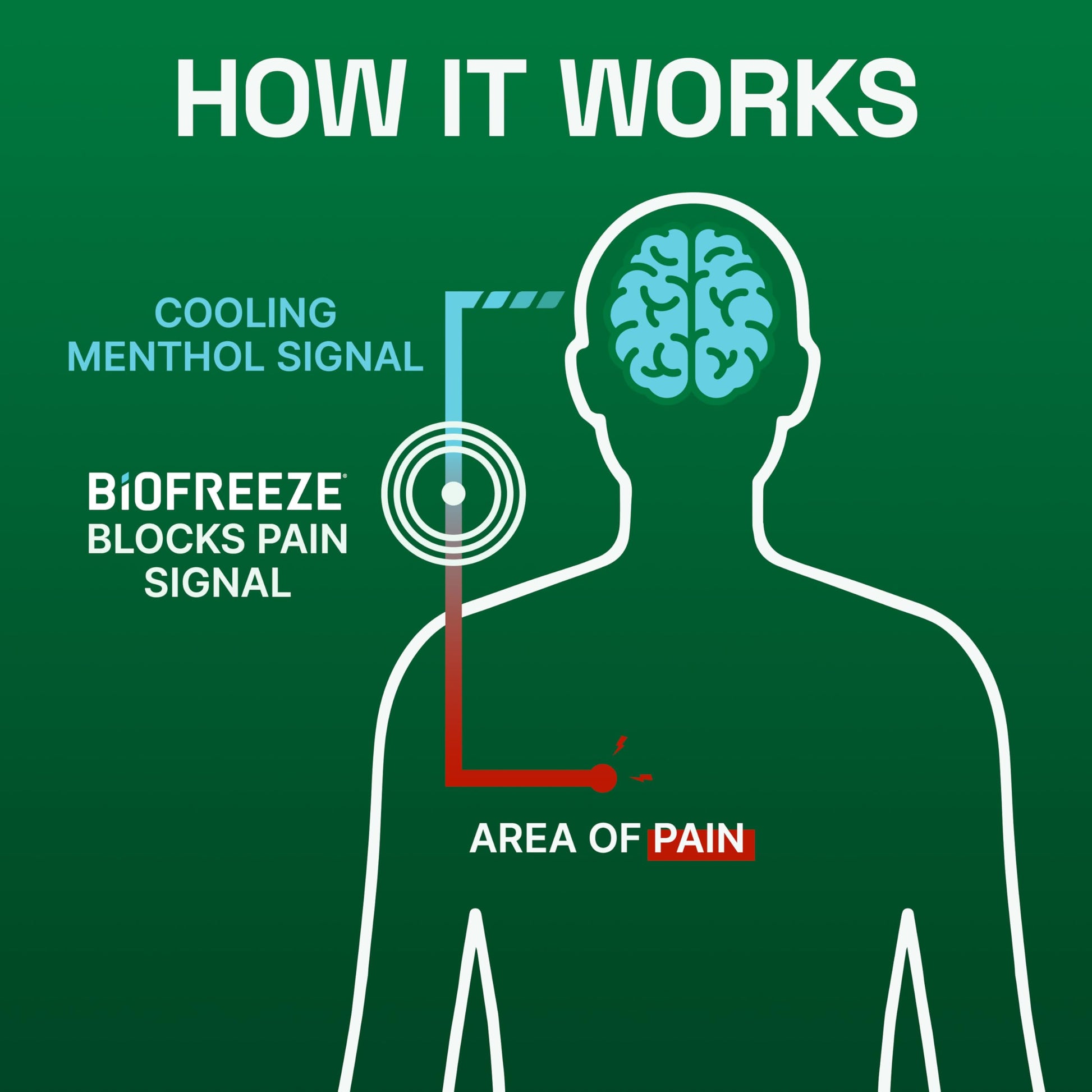 Biofreeze Gel Menthol Pain Relieving Colorless Gel 4 FL OZ Tube For Pain Relief Associated With Sore Muscles, Arthritis, Simple Backaches, And Joint Pain Biofreeze Au supplements