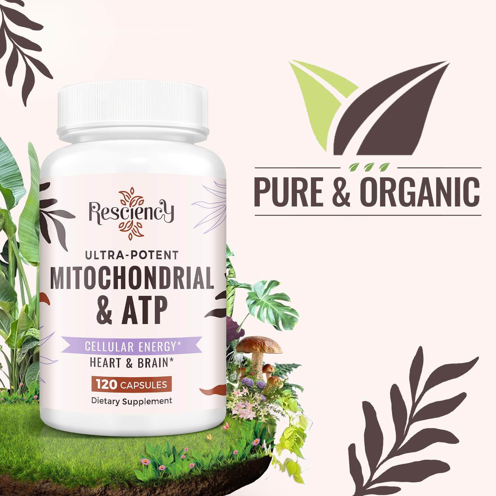 Resciency 2326 MG Mitochondrial Supplements with ATP, Vitamins, CoQ10 & PQQ, More Effective Than Creatine HMB & Nitric Oxide, Energy, Endurance, Strength, Recovery & Muscle, Organic, 120 Capsules Resciency Au supplements