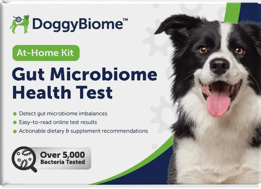 AnimalBiome Dog Gut Health Test – DoggyBiome At Home Stool Testing Kit, Canine Fecal Analysis for Digestive Issues, Diarrhea & Allergy Insights w/Personalized Report & Custom Plan (Dogs in US) AnimalBiomeAU supplements