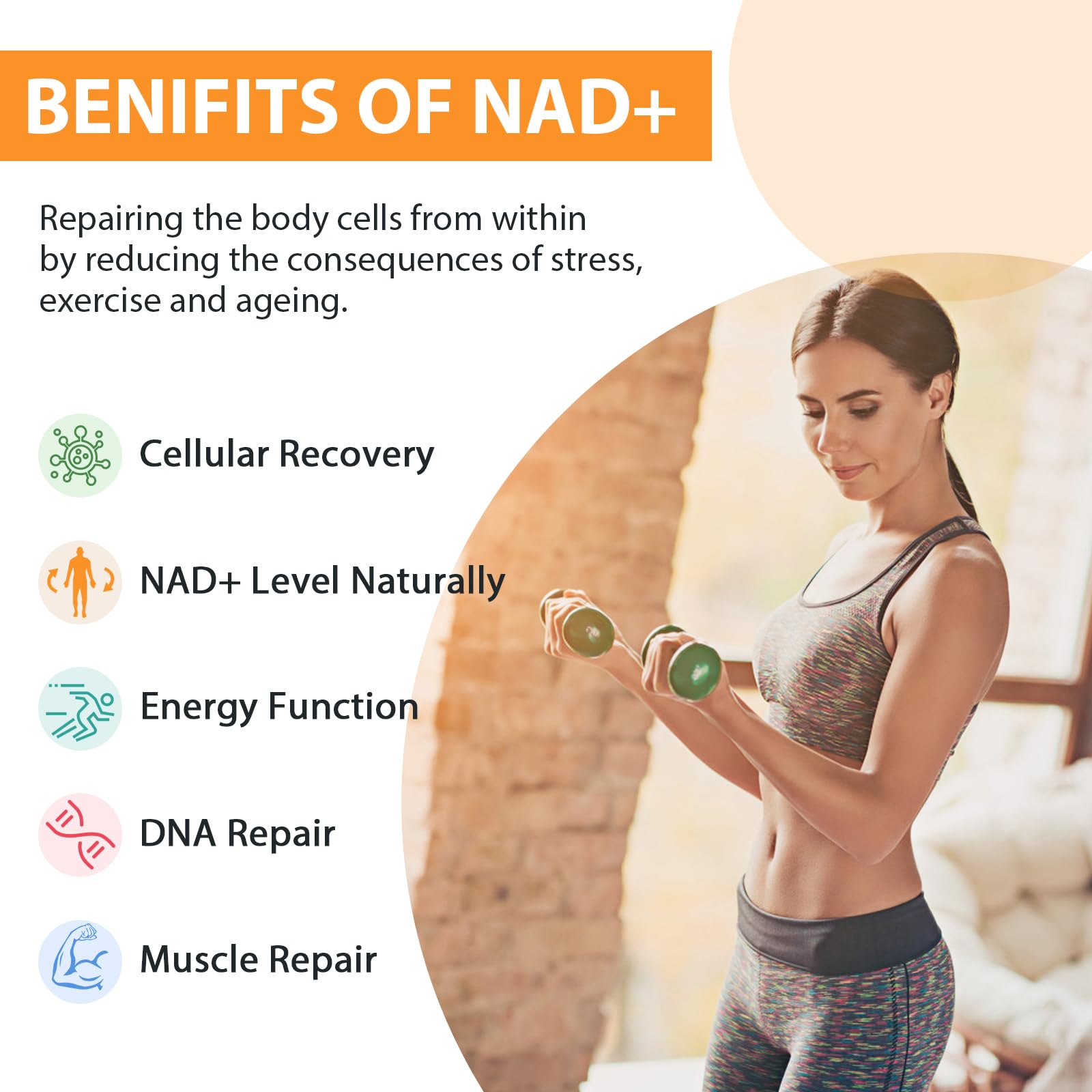 Orgabay Liposomal NAD+ Supplement 500 mg, High Absorption, Boost NAD+ with TMG 250 mg, Actual NAD Plus More Efficient Than Nicotinamide Riboside, Support Cellular Energy, Healthy Aging | 240 Softgels Orgabay Au supplements