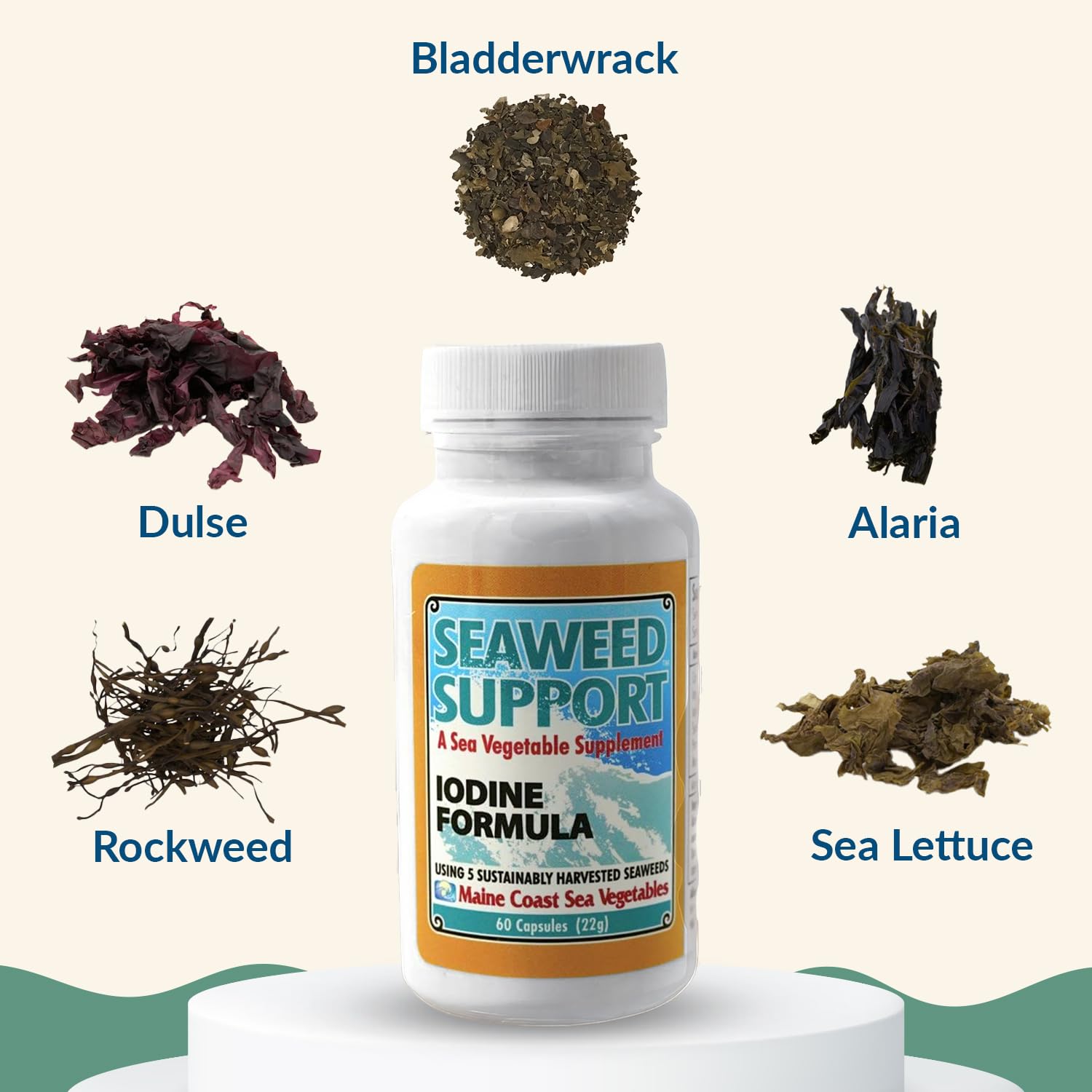 Maine Coast Sea Vegetables Seaweed Support Iodine Formula | Source of Iodine from Seaweed | Daily Use Iodine Supplement | Organic Alaria, Rockweed, Sea Lettuce, Dulse & Bladderwrack blend | 60 Capsule Maine Coast Sea Vegetables Au supplements