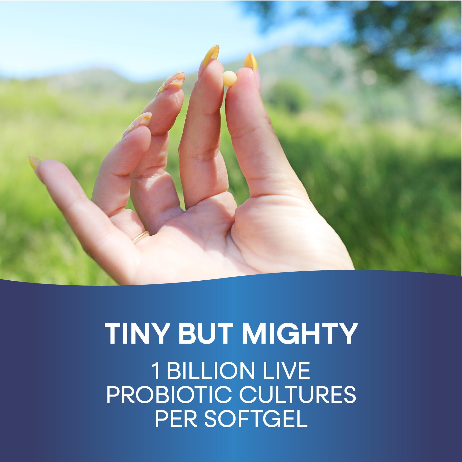 Probiotic Pearls Acidophilus Once Daily Probiotic Supplement, 1 Billion Live Cultures, Survives Stomach Acid, No Refrigeration, 90 Softgels Nature's Way Au supplements