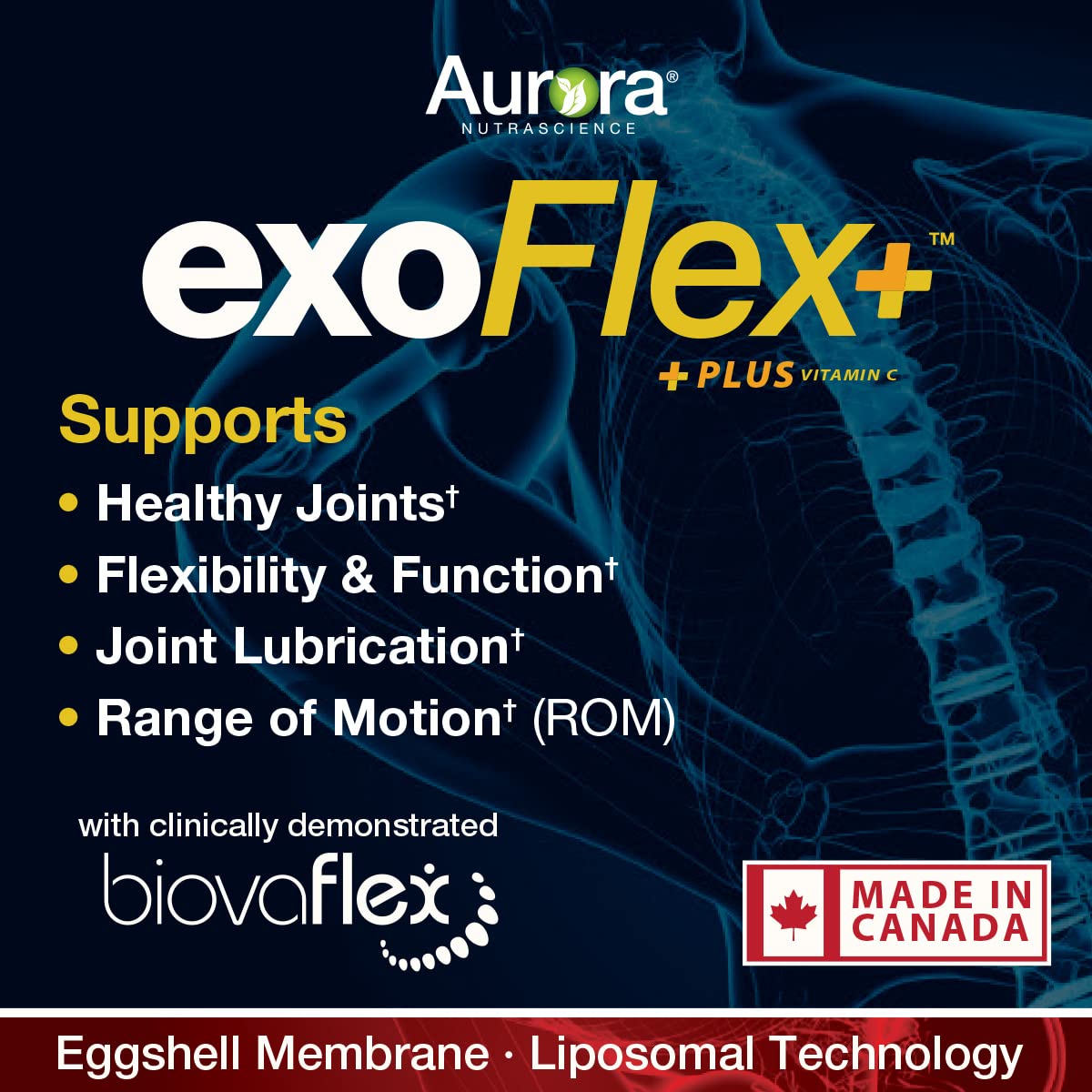 Aurora Nutrascience Micro-Pack Liposomal exoFlex+ with Vitamin C, Supports Joint Flexibility & Function, BiovaFlex Eggshell Membrane, Curcumin & Boswellia, Strwaberry Flavor, 30 Servings, 10 fl oz Vida Lifescience Au supplements