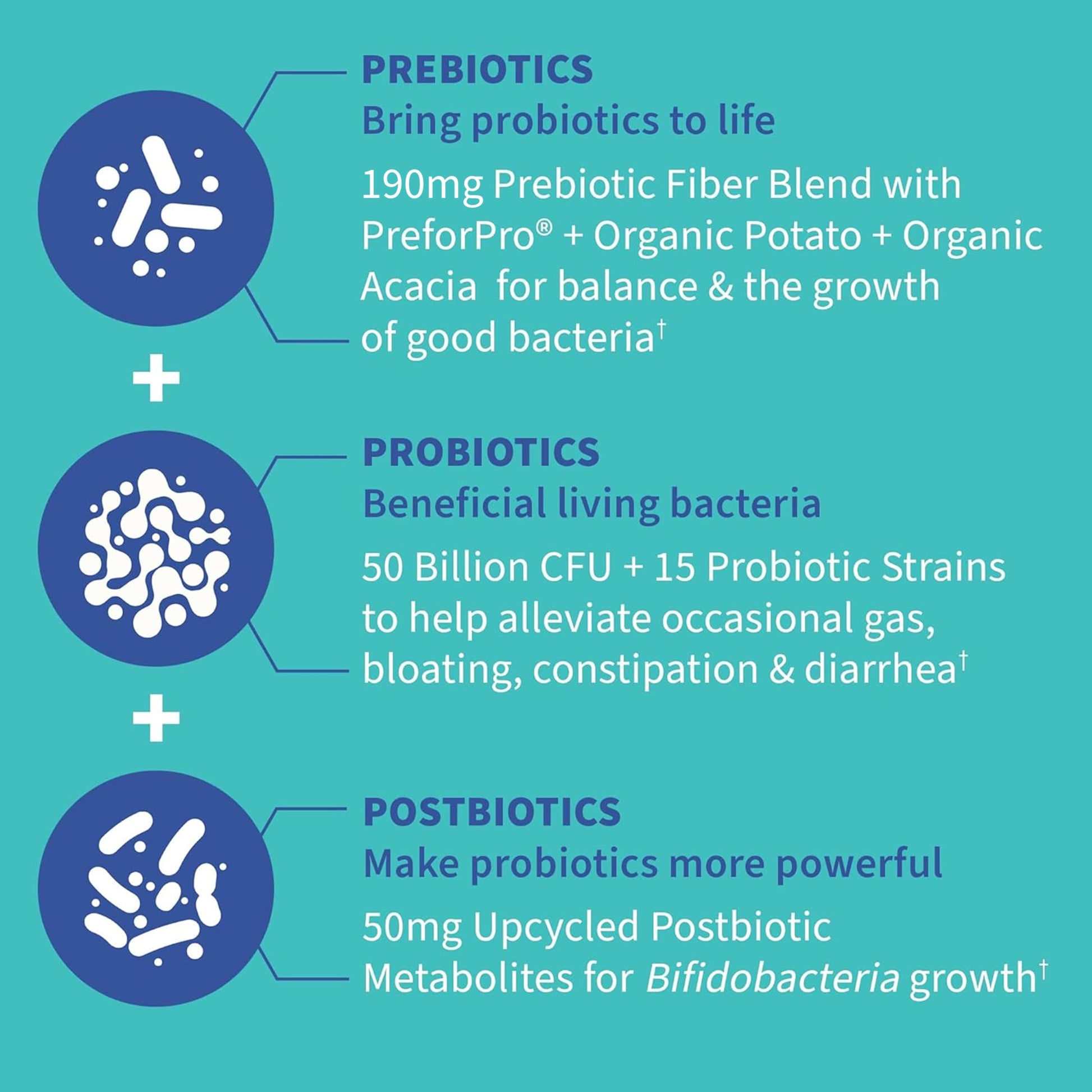 Garden of Life Dr. Formulated Pre, Post & Probiotics Gas & Bloating Once Daily 3-in-1 Complete Prebiotics, Postbiotics & Probiotics – 50 Billion CFU, Non-GMO, Gluten-Free, 30 Day Supply Garden of Life Au supplements