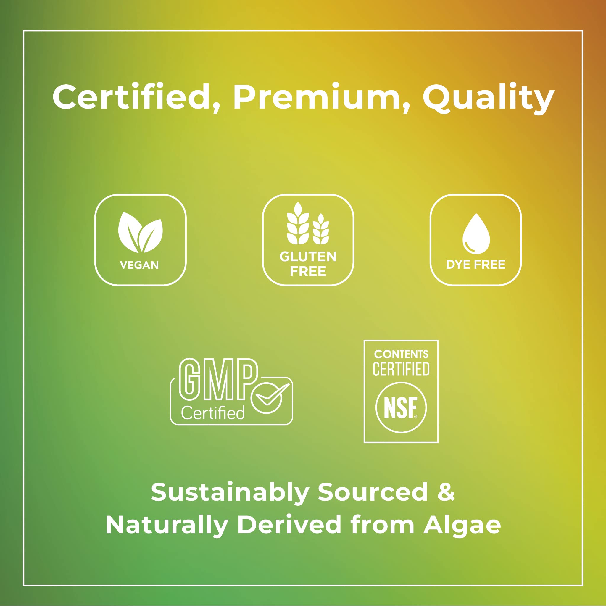 Theralogix PhytoLife Omega - 90-Day Supply - Vegan Algae Omega-3 Supplement Theralogix Au supplements