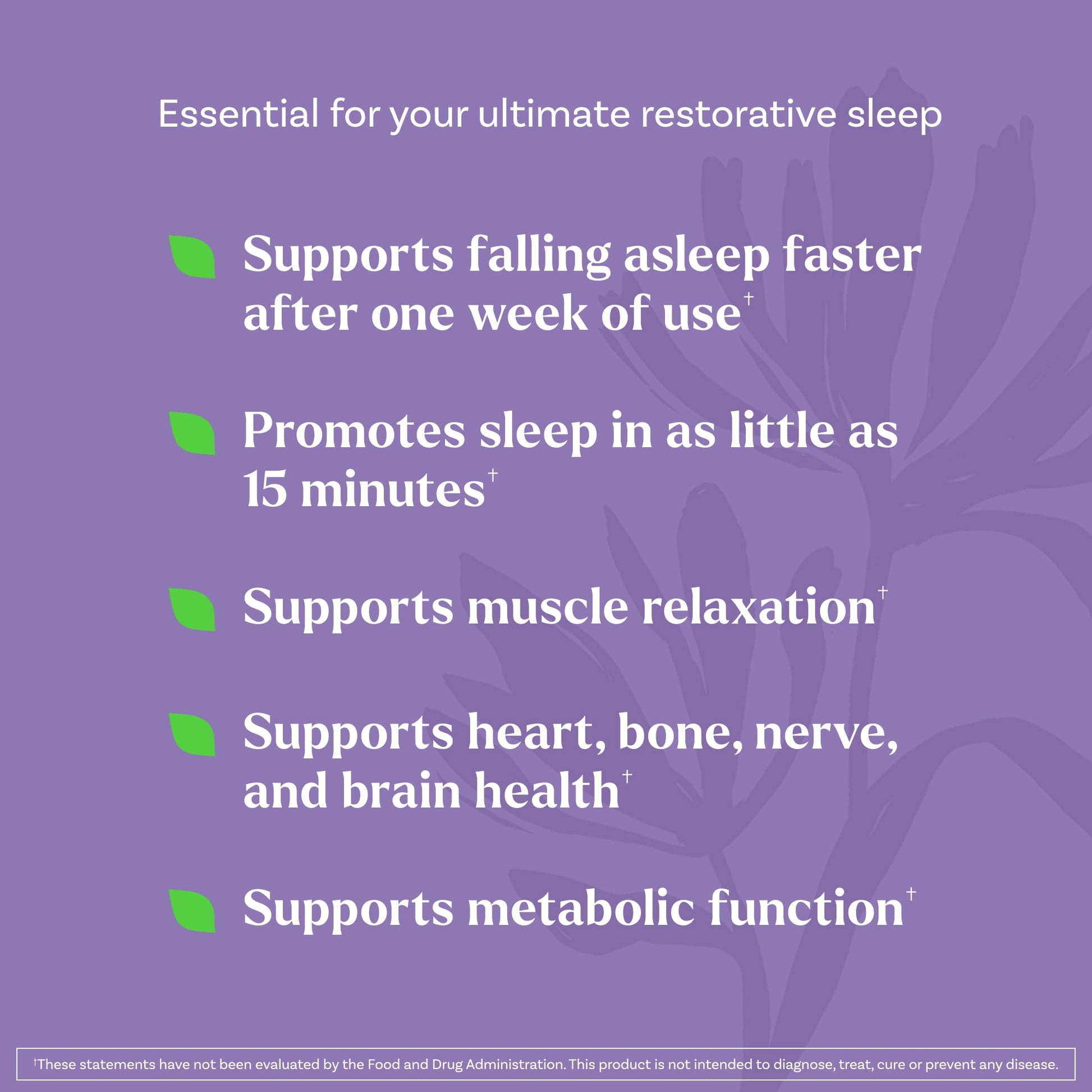 Natrol Sleep + Restore Magnesium Glycinate Blend Gummies with Melatonin 5mg - Calm Magnesium with GABA, Botanical Blend, Cherry Flavor, 60 Gummies Natrol Au supplements