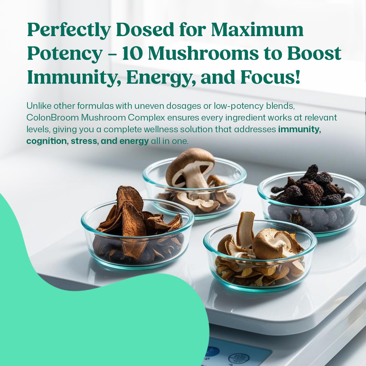 ColonBroom Mushroom Complex, Powerful Mushroom Blend with Cordyceps, Reishi, Shiitake, Lion’s Mane Extract for Energy, Immunity, Stress Relief & Cognitive Health - 60 Capsules, 30 Day Supply ColonBroom Au supplements