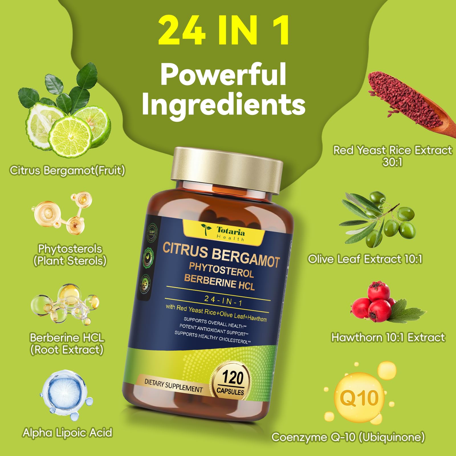 Citrus Bergamot Supplement for High Cholesterol - Italian Citrus Bergamot & Plant Sterols Stanols Natural Way to Balance Cholesterol Level, Cholesterol Lowering Supplements, Vegan, Non-GMO, 120 Counts Totaria Au supplements