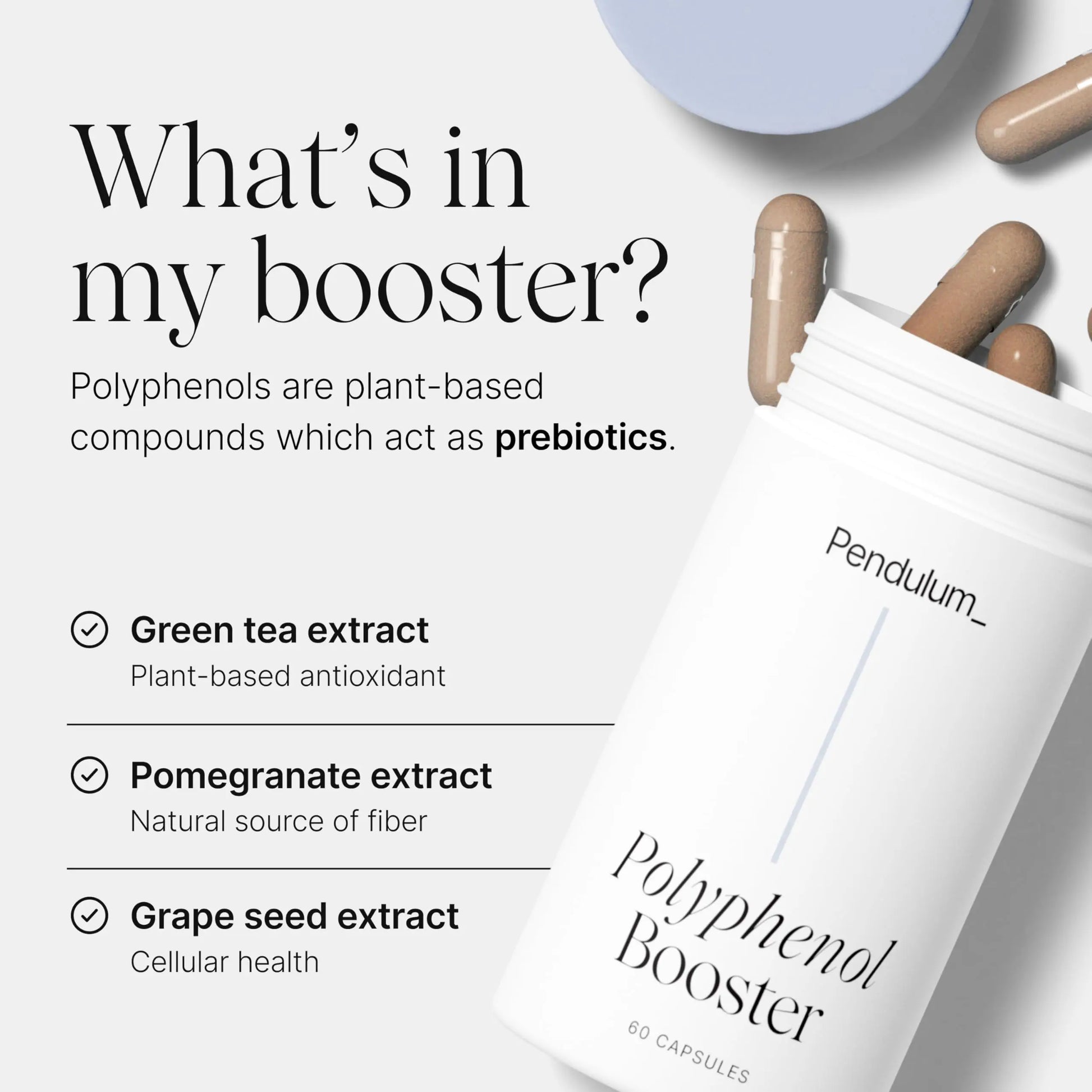 Pendulum Polyphenol Booster, Antioxidant from Superfoods, Beneficial Plant Compounds for Good Health, Helps Boost Akkermansia Muciniphila for Men & Women (60 Capsules, 1-Pack) Pendulum Au supplements