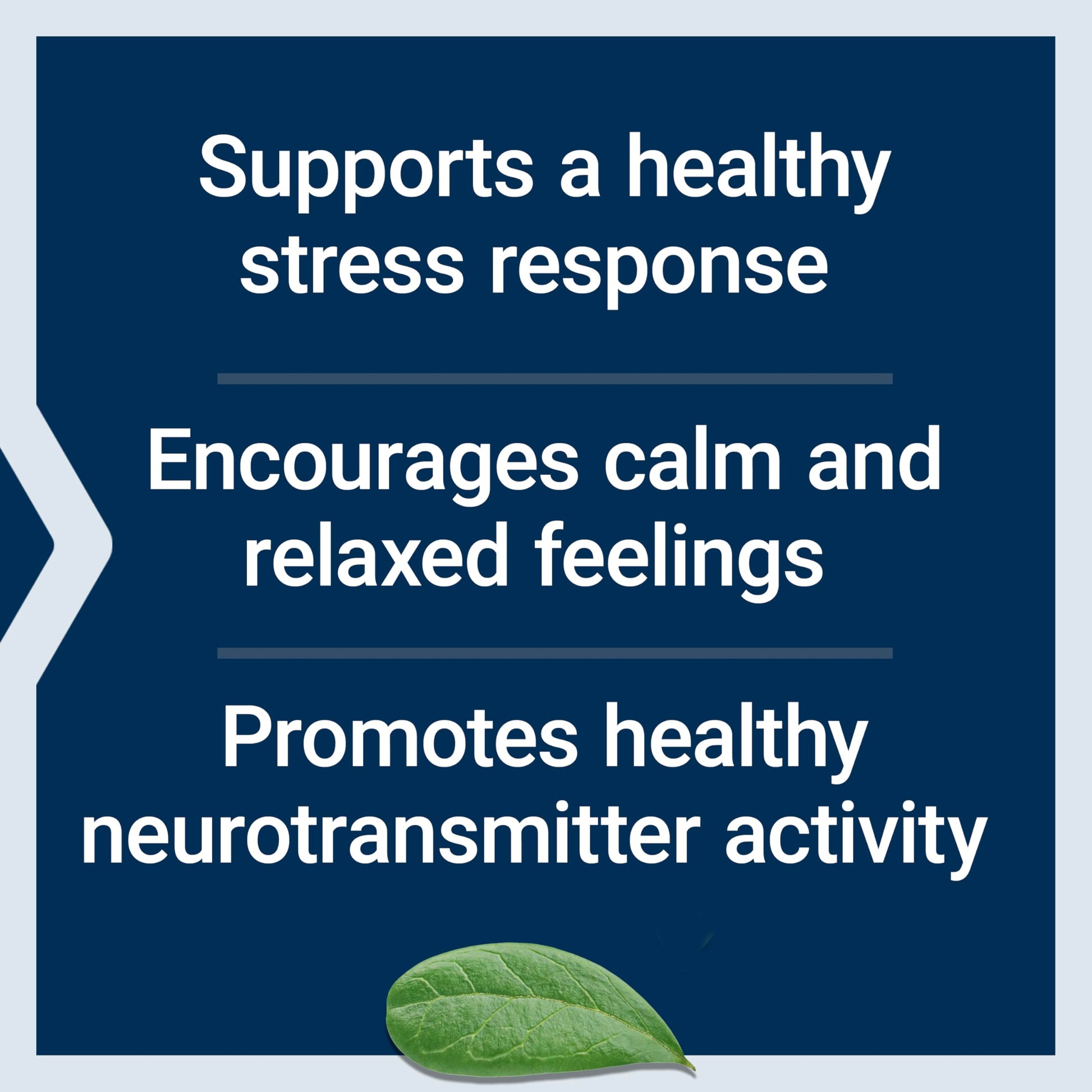 Life Extension Calm-Mag, Magnesium Acetyl taurinate, Daily Stress Management Formula, Supports Calmness and Relaxation, Gluten-Free, Non-GMO, Vegetarian, 30 Capsules Life Extension Au supplements