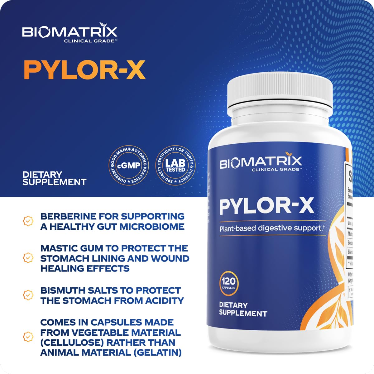 BioMatrix Pylor-X Gut Health Supplement – Mastic Gum, Berberine, Zinc Carnosine & Bismuth Salts for Gastric Support, Digestive Comfort, Stomach Lining Protection - (120 Capsules) 30-60 Day Supply BioMatrix Au supplements