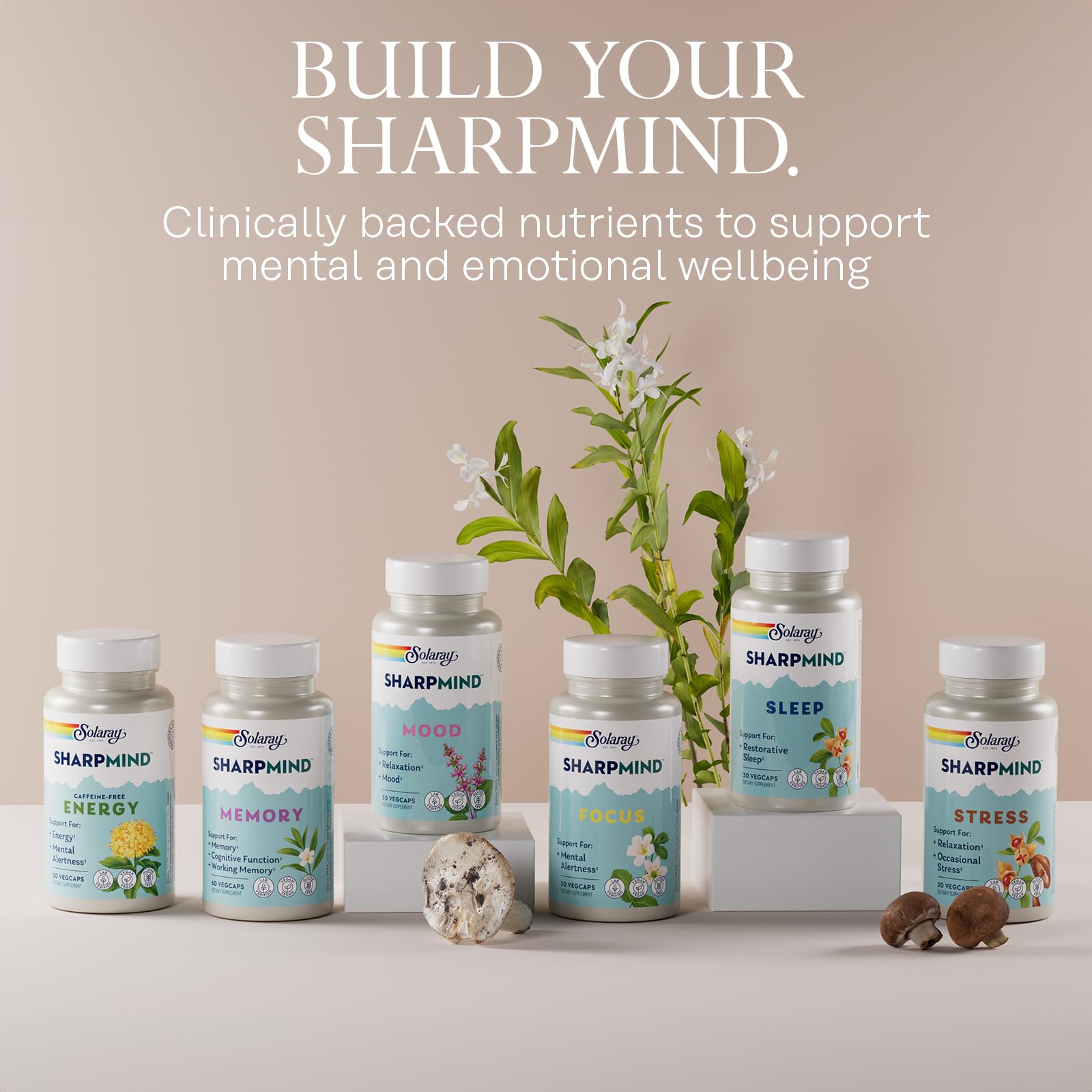 SOLARAY SharpMind Focus, Mental Alertness Nootropic Supplement for Healthy Brain Fog, Cognizin Citicoline, Lions Mane Mushroom, Bacopa Monnieri, 60 Day Money Guarantee, 60 Serv 60 Veg Caps SOLARAY Au supplements