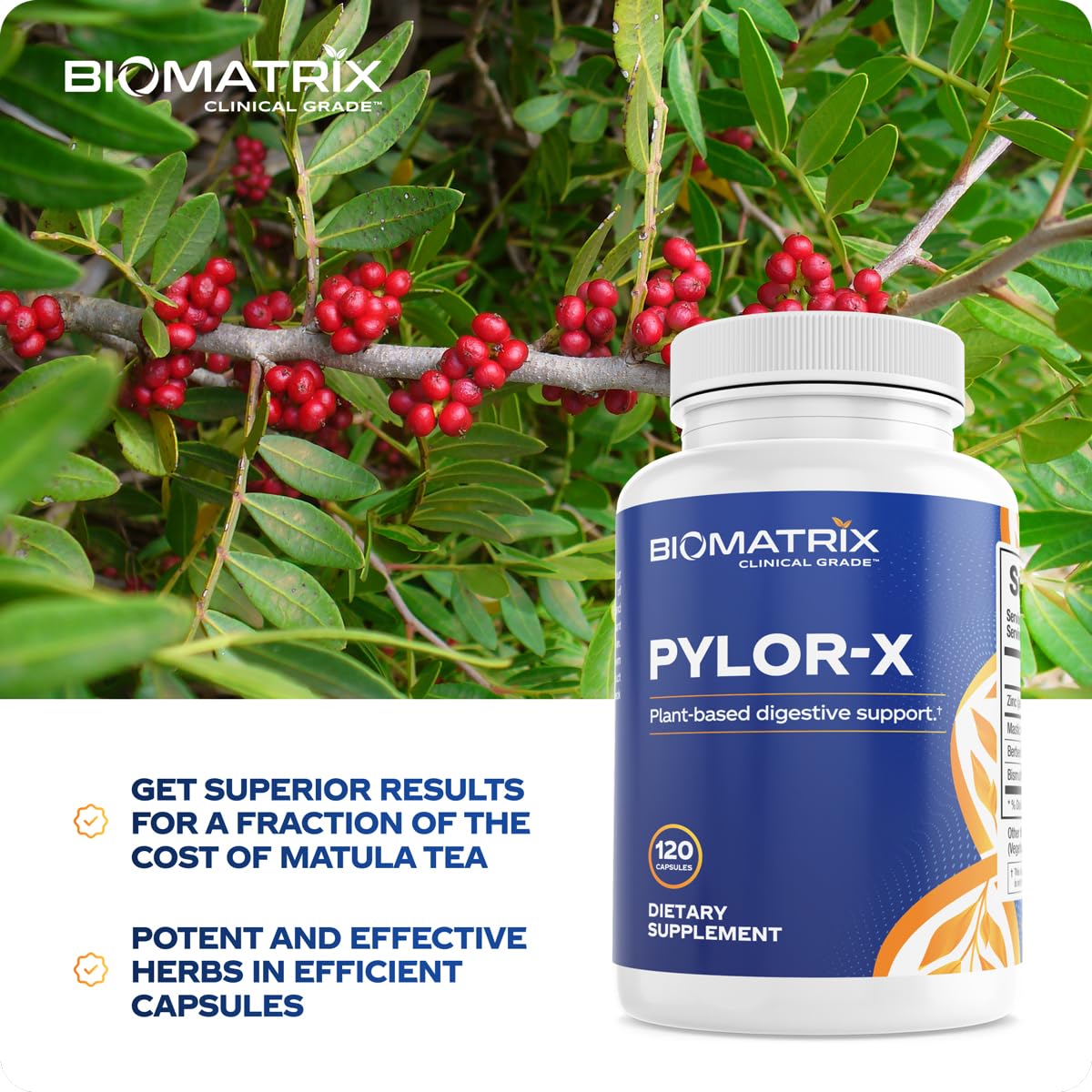BioMatrix Pylor-X Gut Health Supplement – Mastic Gum, Berberine, Zinc Carnosine & Bismuth Salts for Gastric Support, Digestive Comfort, Stomach Lining Protection - (120 Capsules) 30-60 Day Supply BioMatrix Au supplements