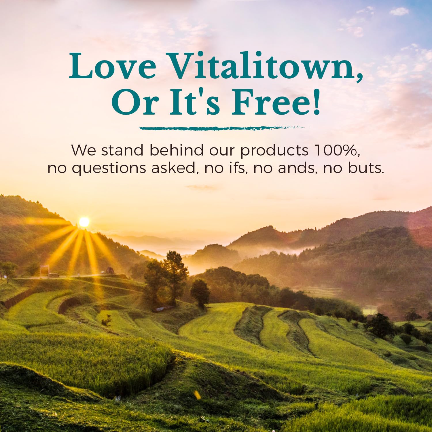 VITALITOWN Probiotics 120 Billion CFUs | 36 Strains, with Prebiotics & Digestive Enzymes for Men Women | Shelf Stable | Digestive Health & Immune Support | Vegan, Non-GMO | 30 Delayed Release Veg Caps Vitalitown Au supplements