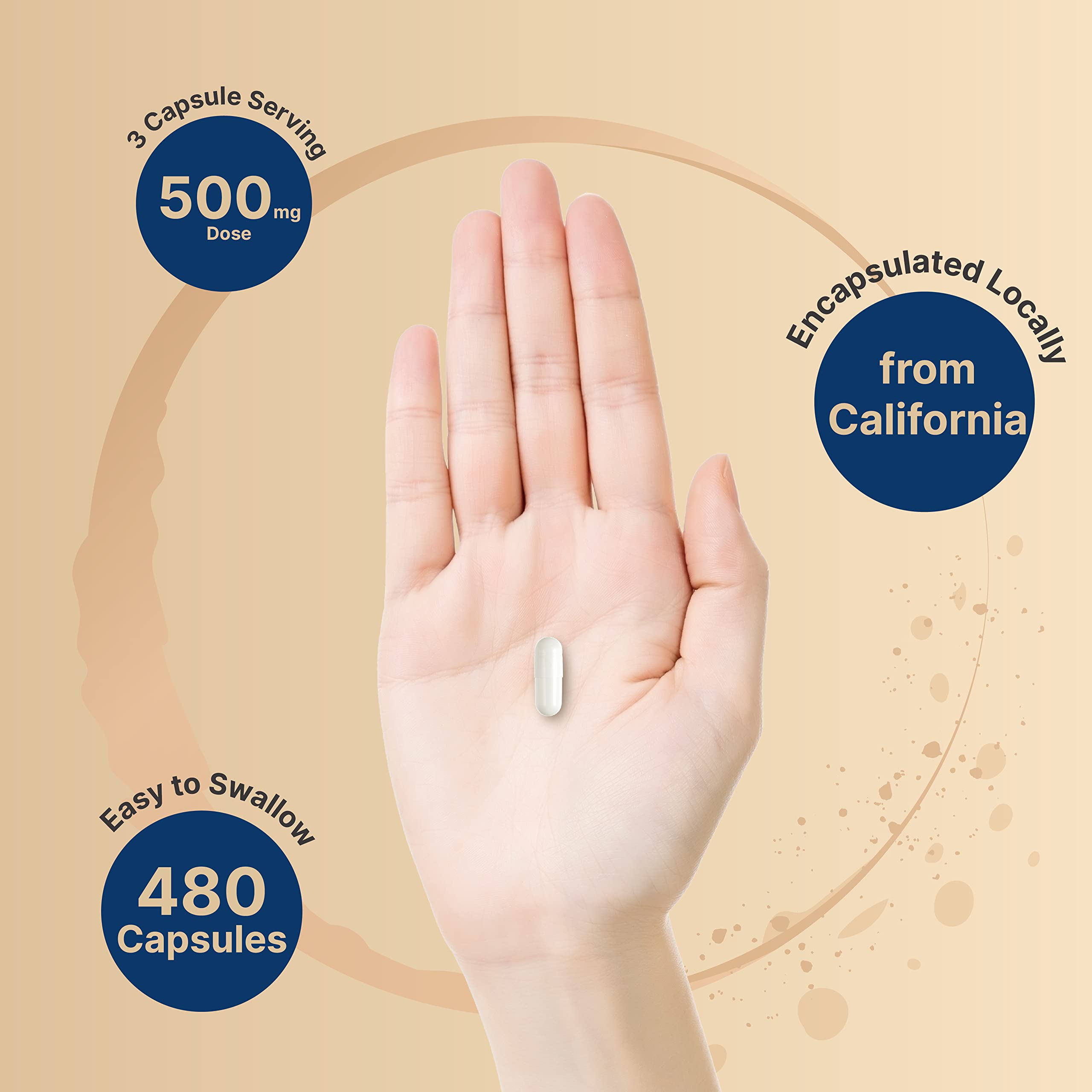 2 Pack Magnesium Citrate 500mg, 480 Capsules | High Purity Elemental Form NatureBell Au supplements