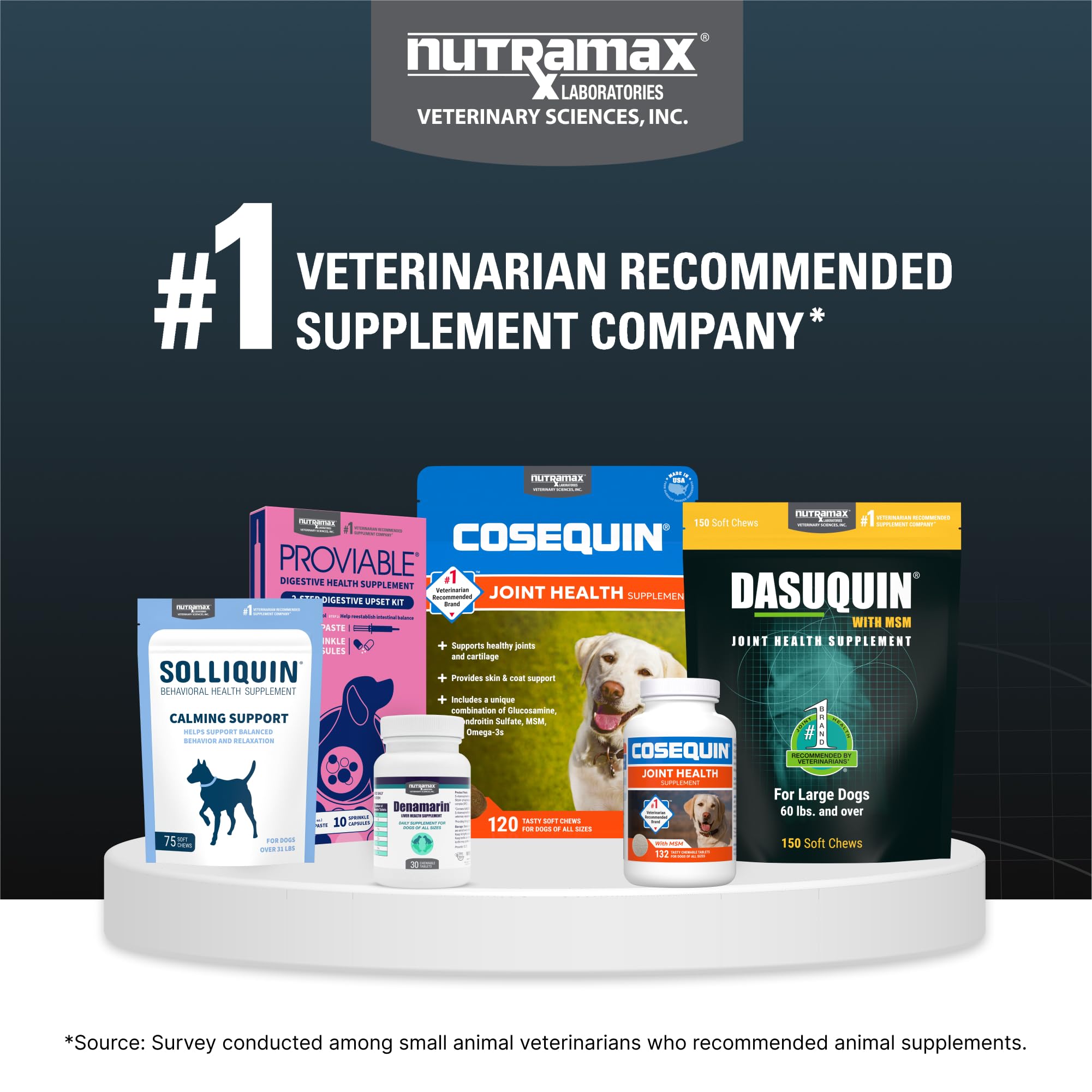 Nutramax Dasuquin for Large Dogs, Joint Health Supplement, Contains Glucosamine for Dogs, Plus Chondroitin, ASU and More, Supports Healthy Joints, Soft Chews, 84 Count Nutramax Laboratories Au supplements