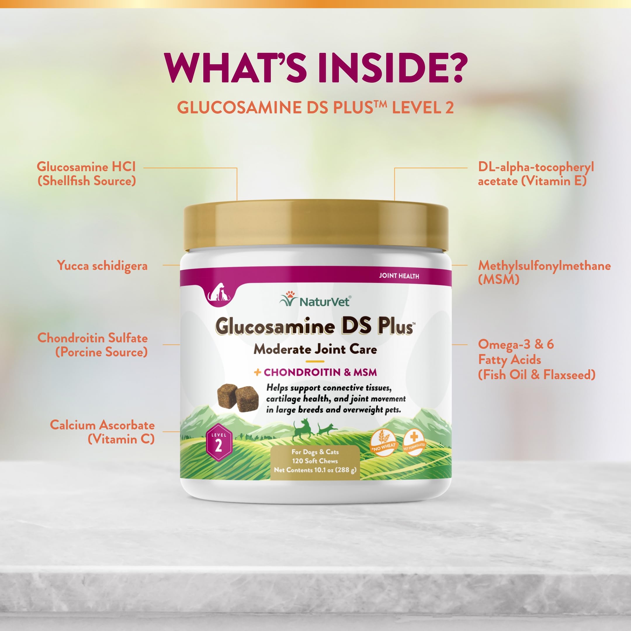 NaturVet – Glucosamine DS Plus - Level 2 Moderate Care – Supports Healthy Hip & Joint Function – Enhanced with Glucosamine, MSM & Chondroitin – for Dogs & Cats–120 Soft Chews NaturVet Au supplements
