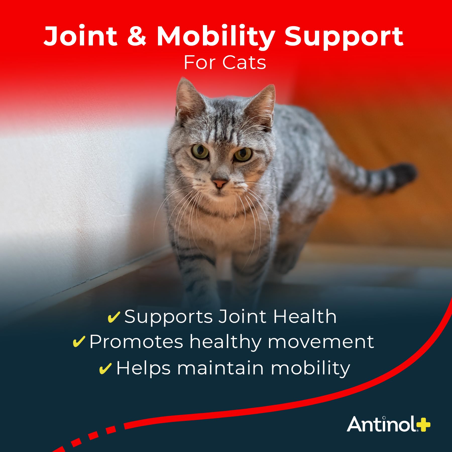 Antinol Plus, Mobility, Hip, and Joint Supplement for Cats, Green-Lipped Mussels and Krill Oil - Cat Joint Supplement, 30 Soft Gels Antinol Au supplements