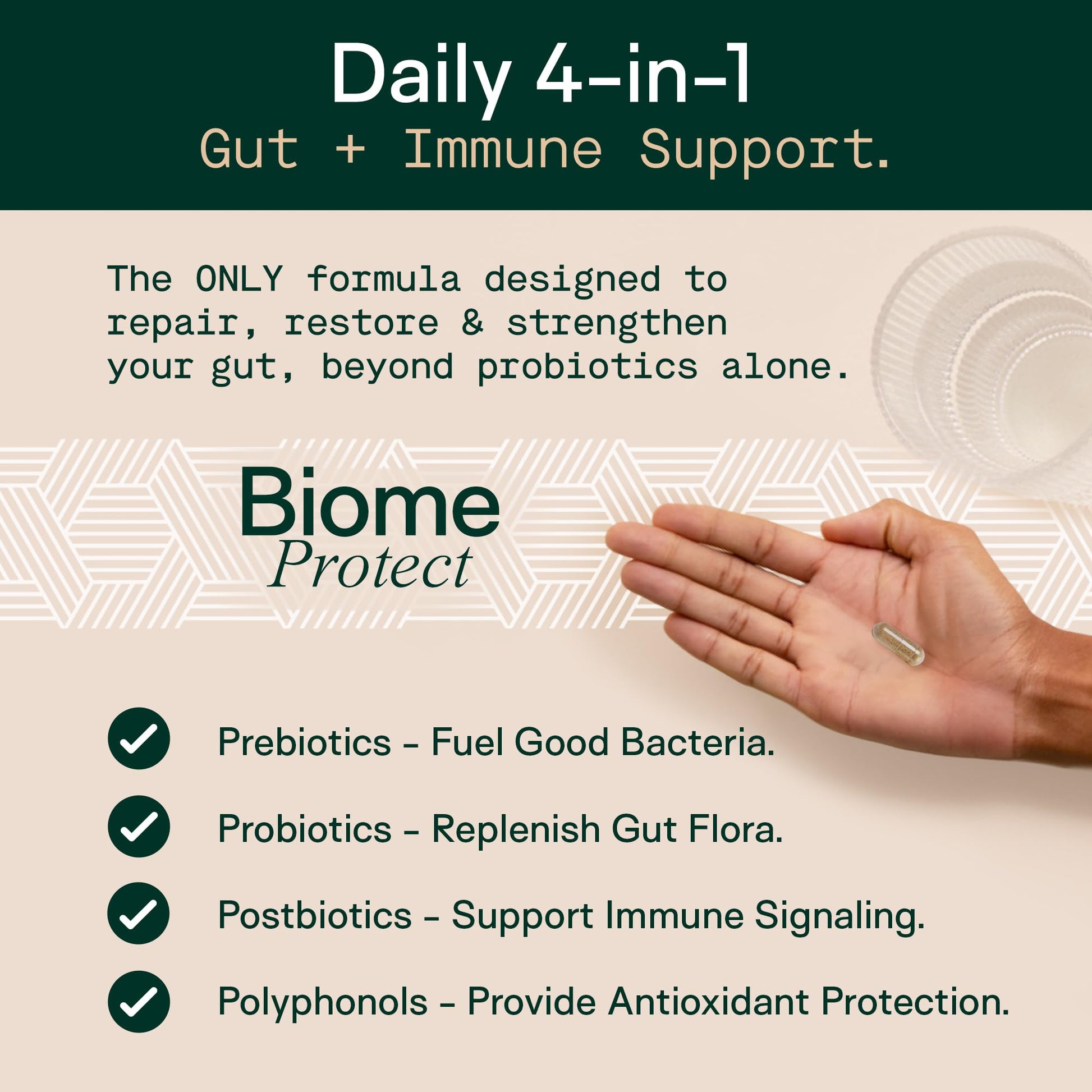 Adapt Naturals 4-in-1 Biome Protect Prebiotics, Probiotics Supplement Postbiotics & Polyphenols for Microbiome, Gut Health & Defense for Women & Men, 30 Day Supply ADAPT NATURALS BY CHRIS KRESSER Au supplements