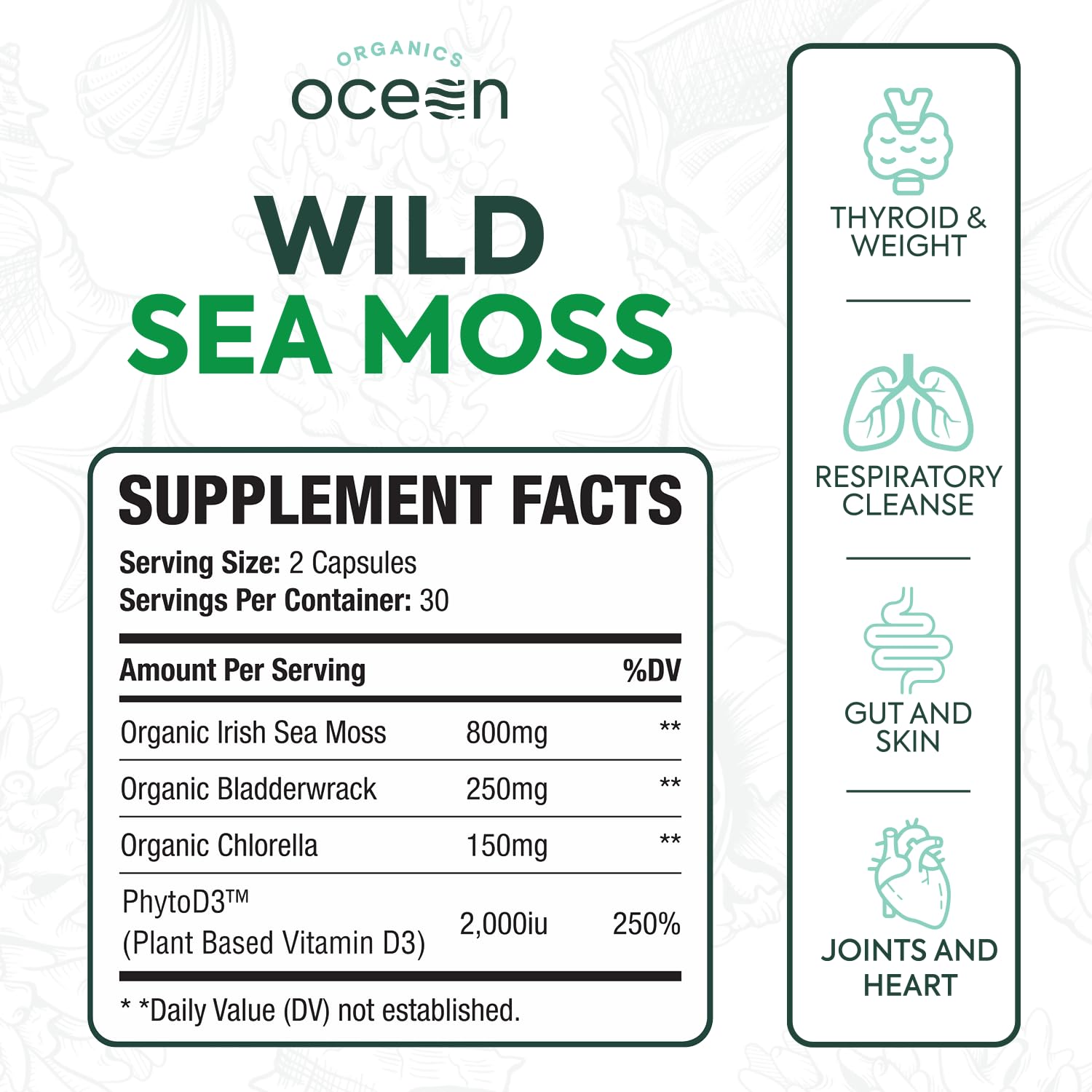 Organics Ocean Wild Sea Moss Capsules - 100% Organic Irish Sea Moss with Organic Chlorella, Bladderwrack and Vitamin D for Energy, Lung Health and Thyroid Support for Women and Men - 60 Capsules Organics Ocean Au supplements