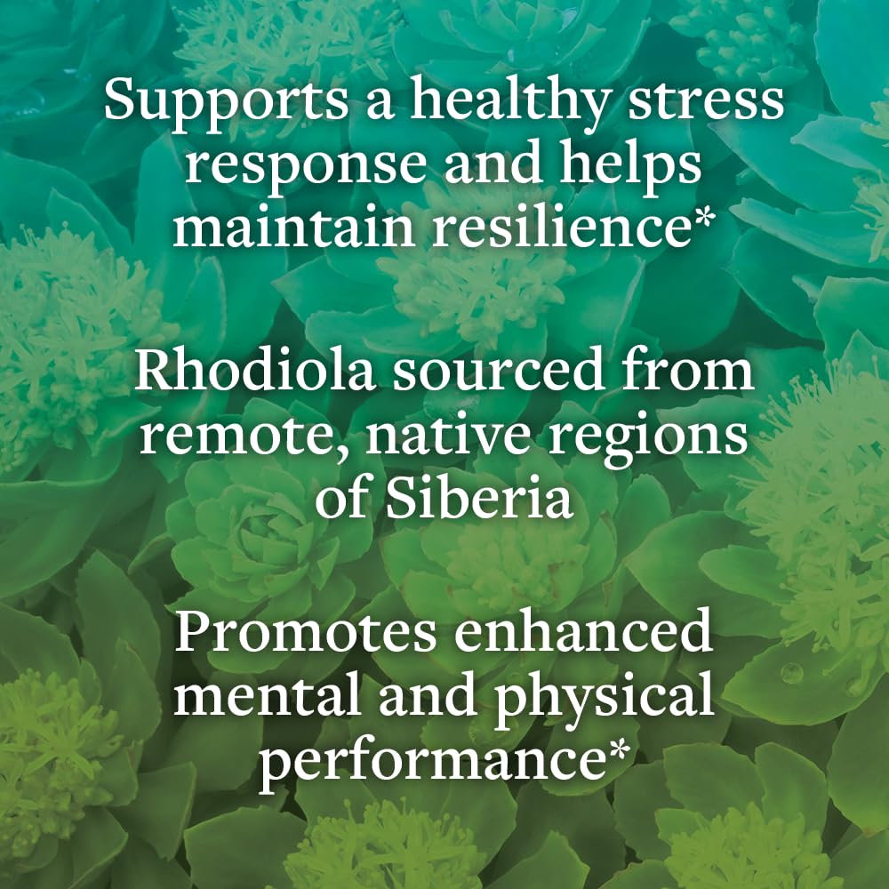 kokora Extra Strength Rhodiola Rosea – Stress Relief, Endurance & Promotes Mental & Physical Performance* - with Siberian Rhodiola, Rosavins, Organic Holy Basil - Vegan, Non-GMO - 60 Capsules kokora Au supplements