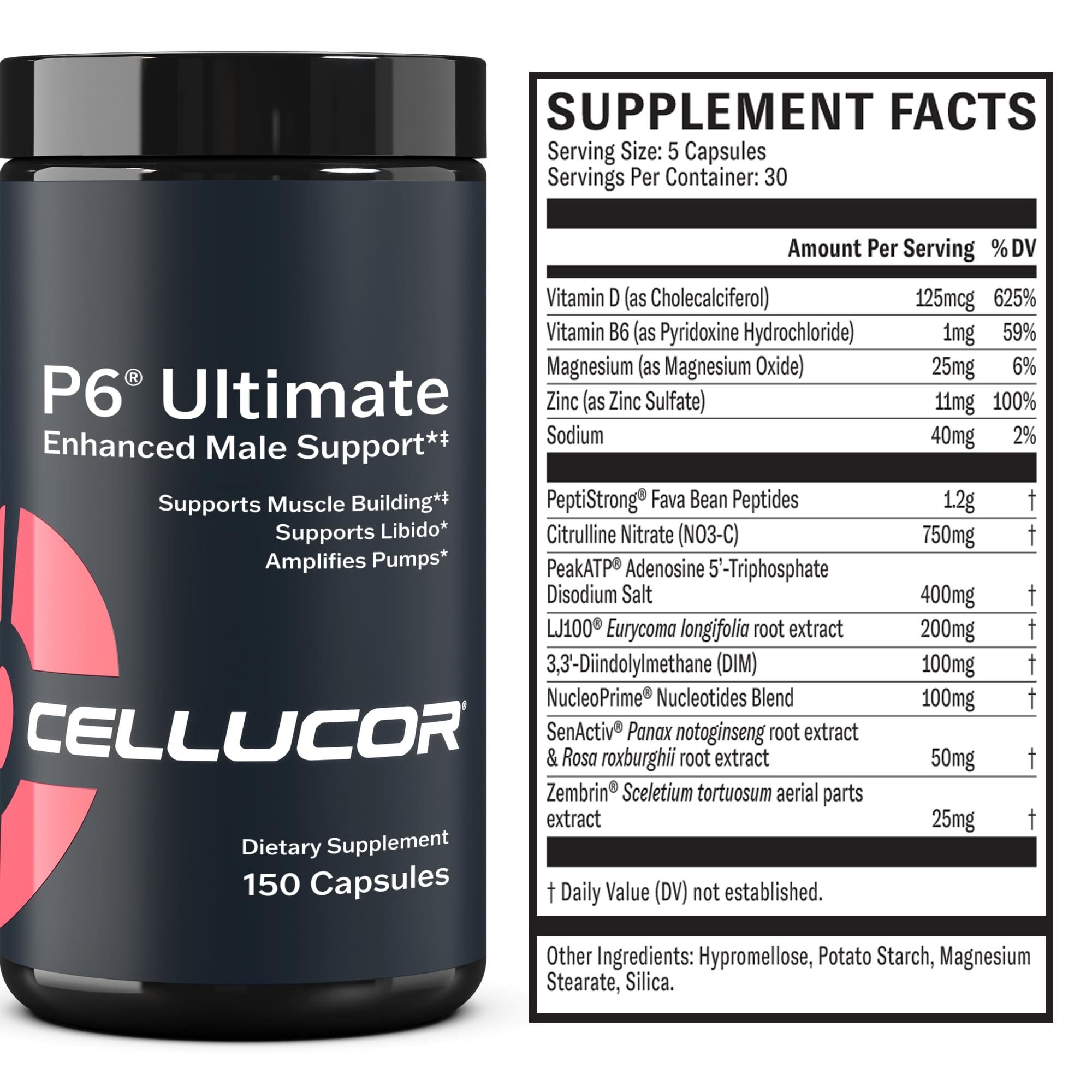 Cellucor P6 Ultimate - Enhanced Support for Men | Supports Muscle Growth & Strength Cellucor Au supplements
