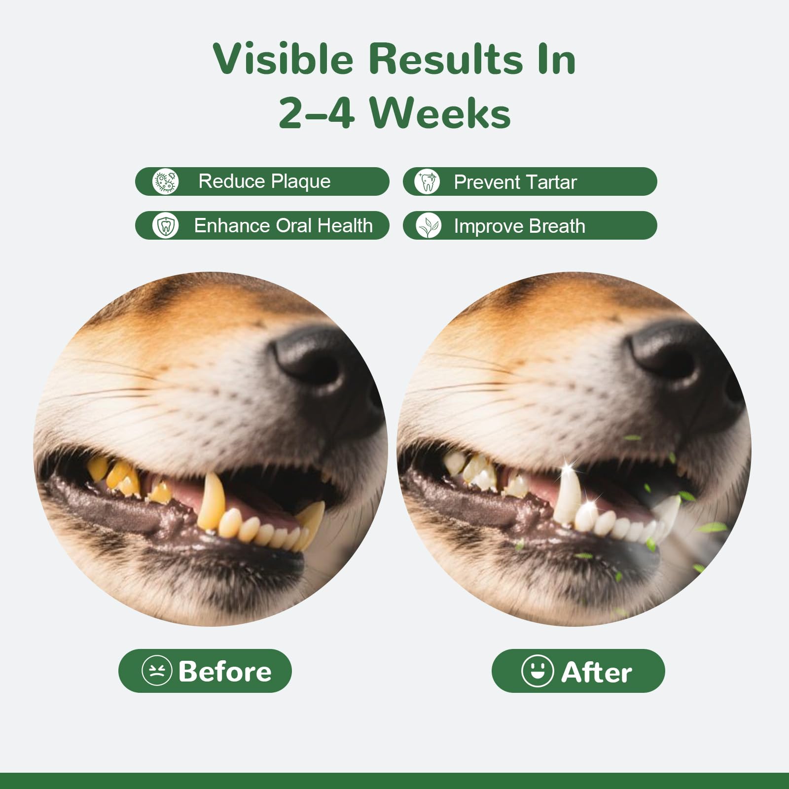 Vetriuntrix Dog Teeth Cleaning Powder, Dental Powder for Dogs Teeth Tartar Remove & Plaque Off, Fresh Breath for Dogs with Natural Plants Blend, Enzymes and Postbiotics, 80g Vetriuntrix Au supplements