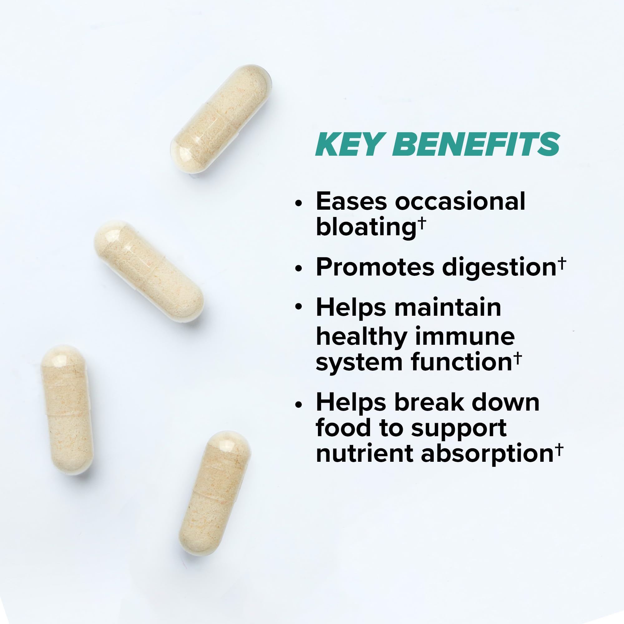 ONNIT Total Gut Health Daily Digestive Support, IGEN Non-GMO Tested Digestion Supplement for Women and Men with 7 Strains of Probiotics, Prebiotics,