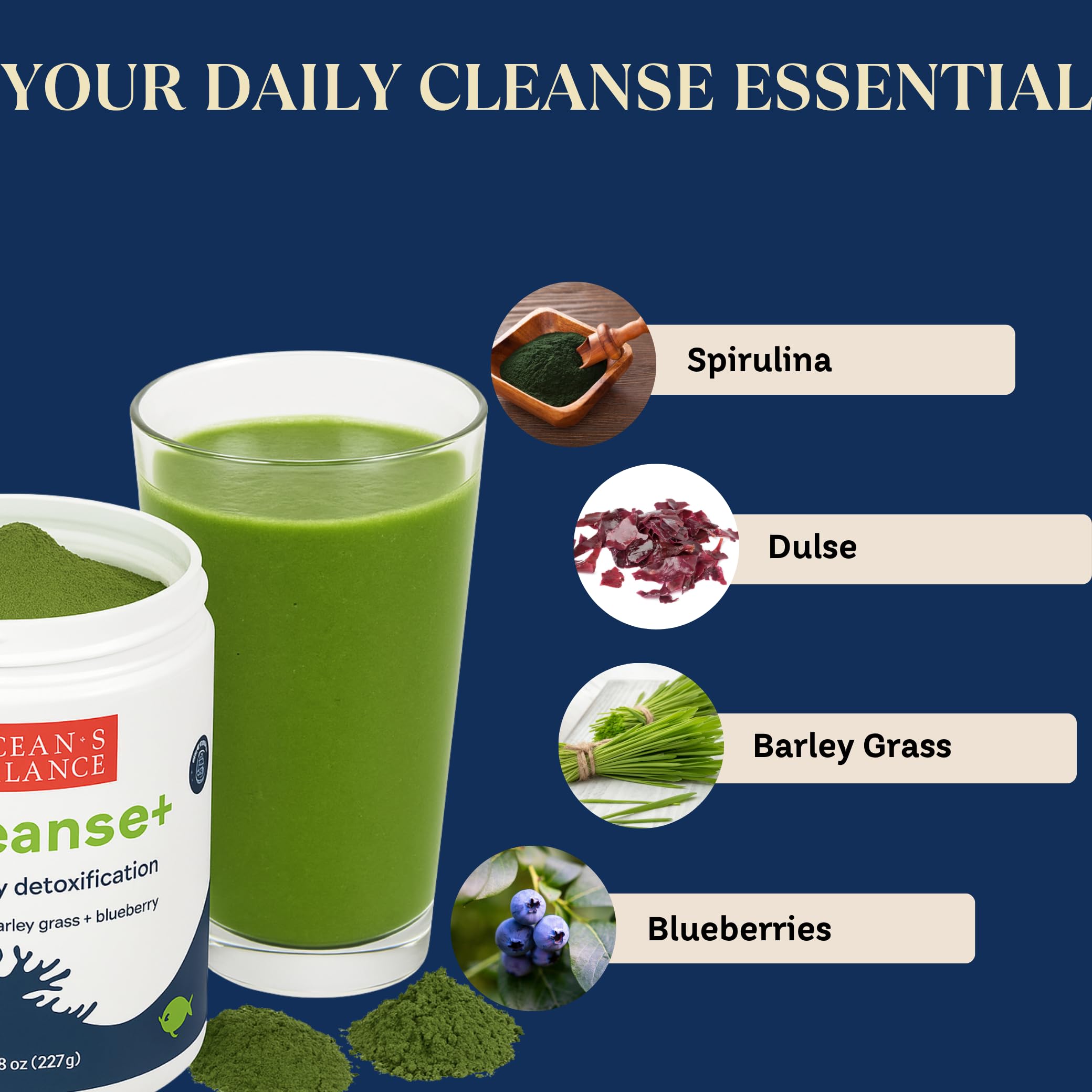 Ocean's Balance Seacleanse+ Daily Detox Cleanse Powder | Gut Health & Immune Support | Supports Gentle Cleanse & Vitality | 8oz Ocean's Balance Clean Taste of Maine Au supplements