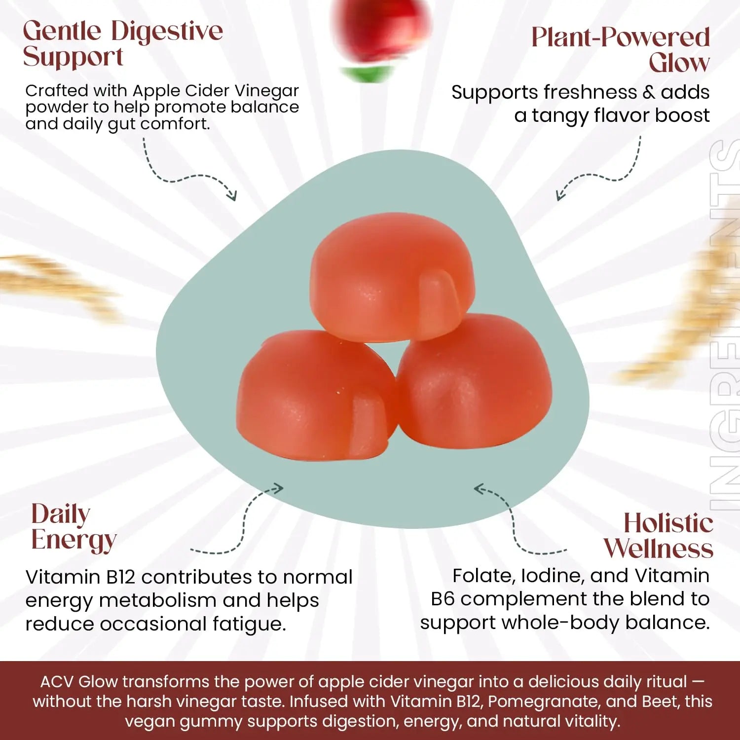 Everé ACV Glow Gummies – Apple Cider Vinegar with B12, B6, Iodine, Folate, Beetroot & Pomegranate – Daily Wellness Support for Energy & Balance The EverÉ Natural Alchemy Au supplements