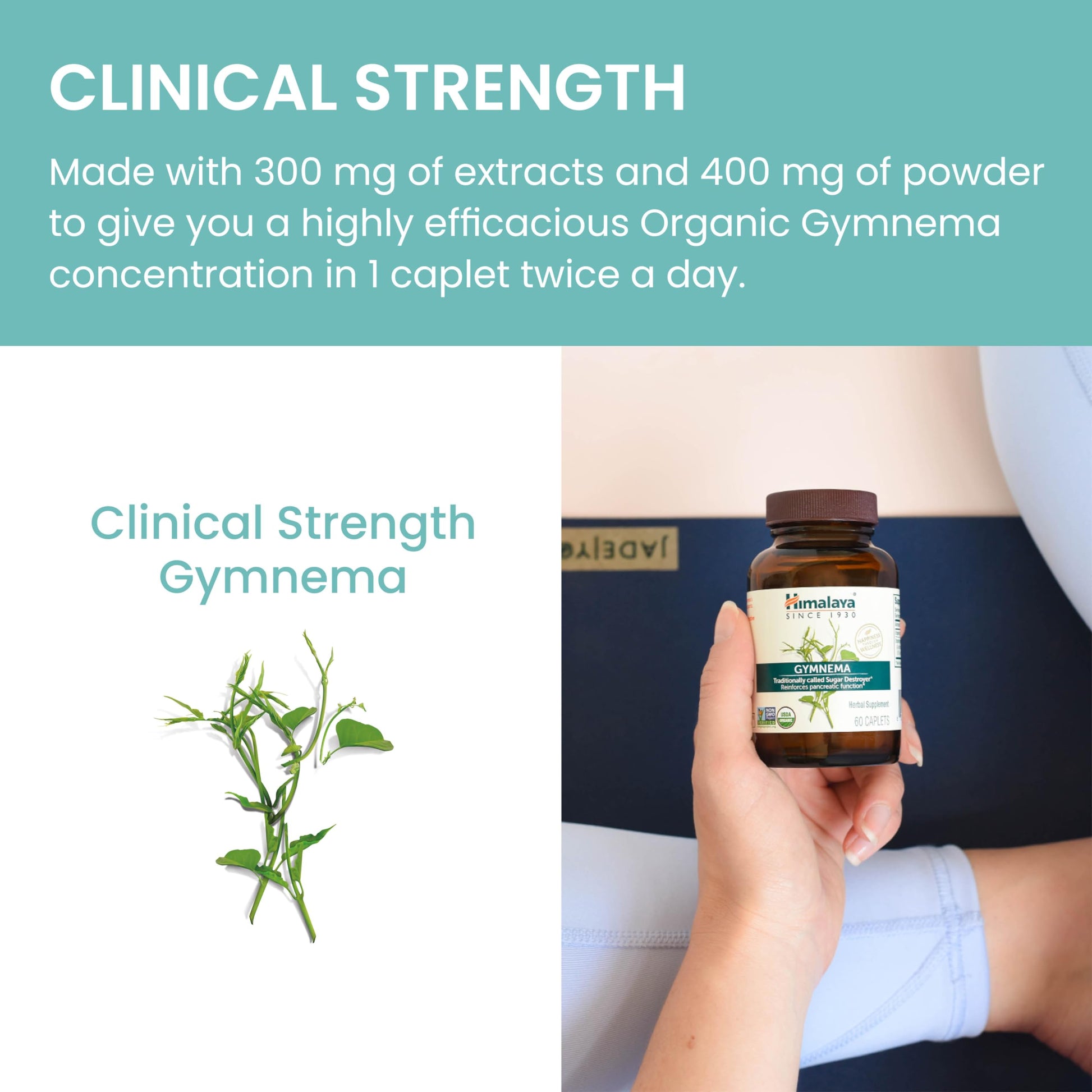 Himalaya Organic Gymnema Herbal Supplement for Weight Management, USDA Certified Himalaya Au supplements