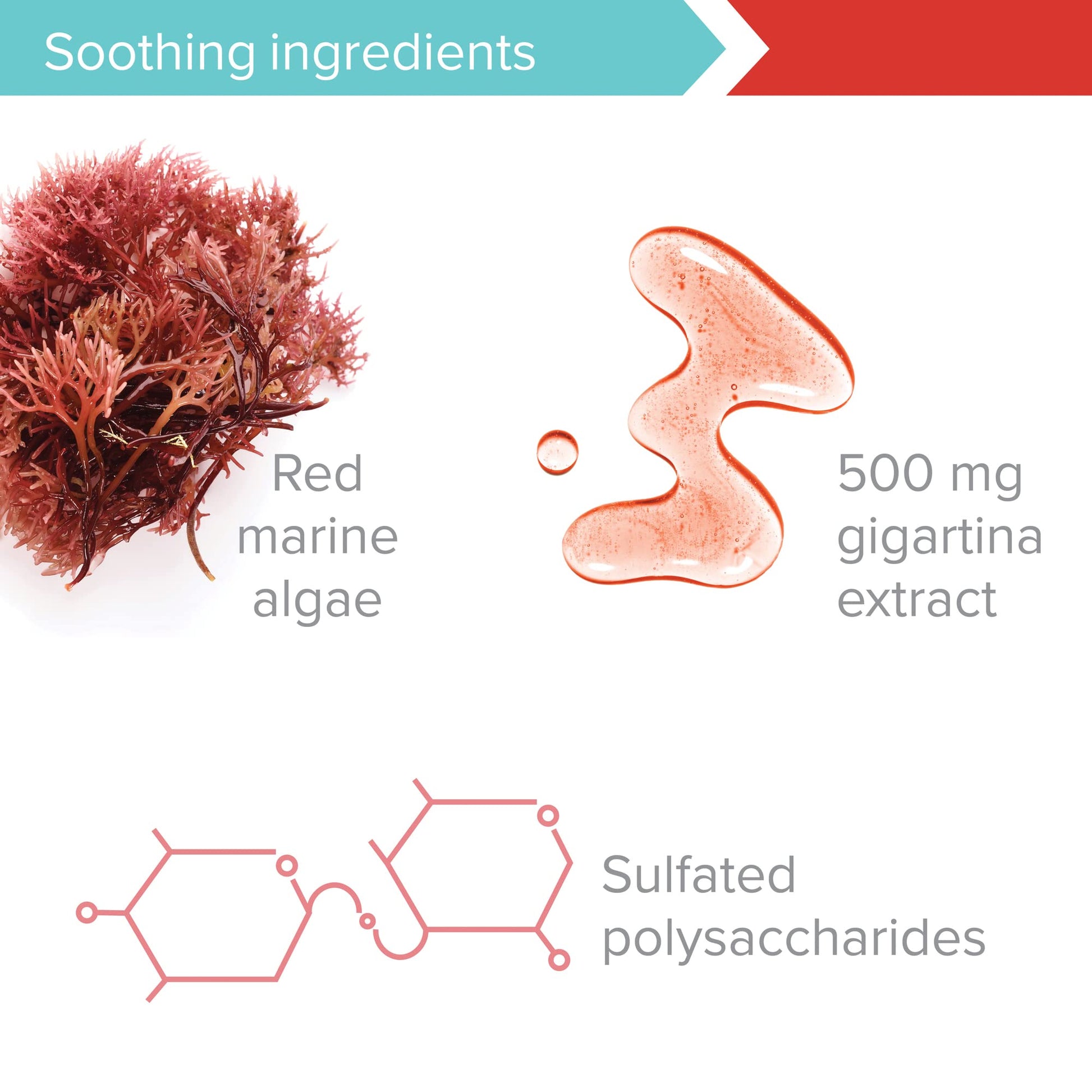 Vibrant Health, Gigartina Red Marine Algae, Plant-Based Immune Support, 60 Capsules Vibrant Health Au supplements
