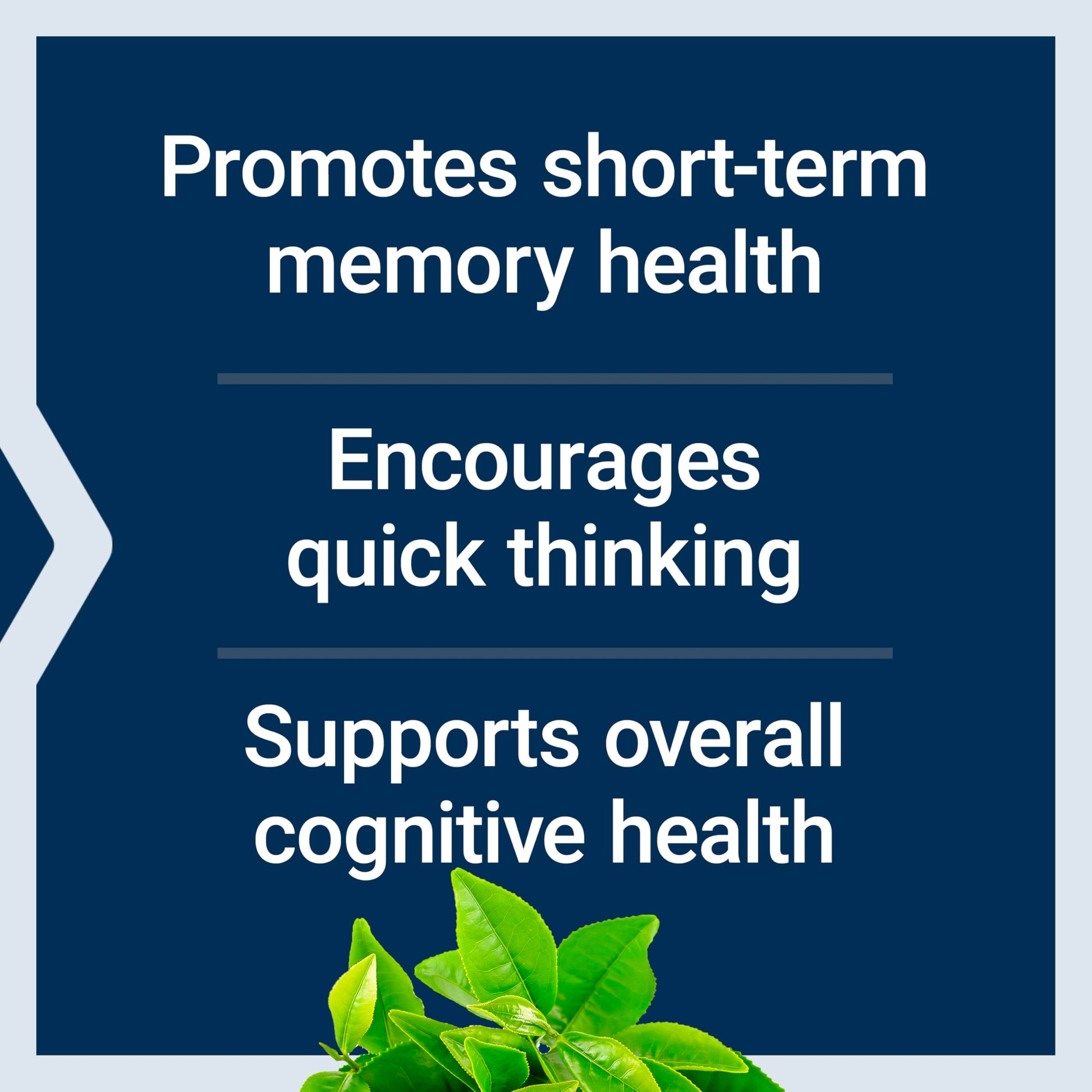 Life Extension Neuro-Mag Magnesium L-Threonate, Memory Health, Quick Thinking, Cognitive Health Support, Vegetarian, Non-GMO, 90 Vegetarian Capsules (144 mg from 2000 mg Magtein magnesium L-threonate Life Extension Au supplements